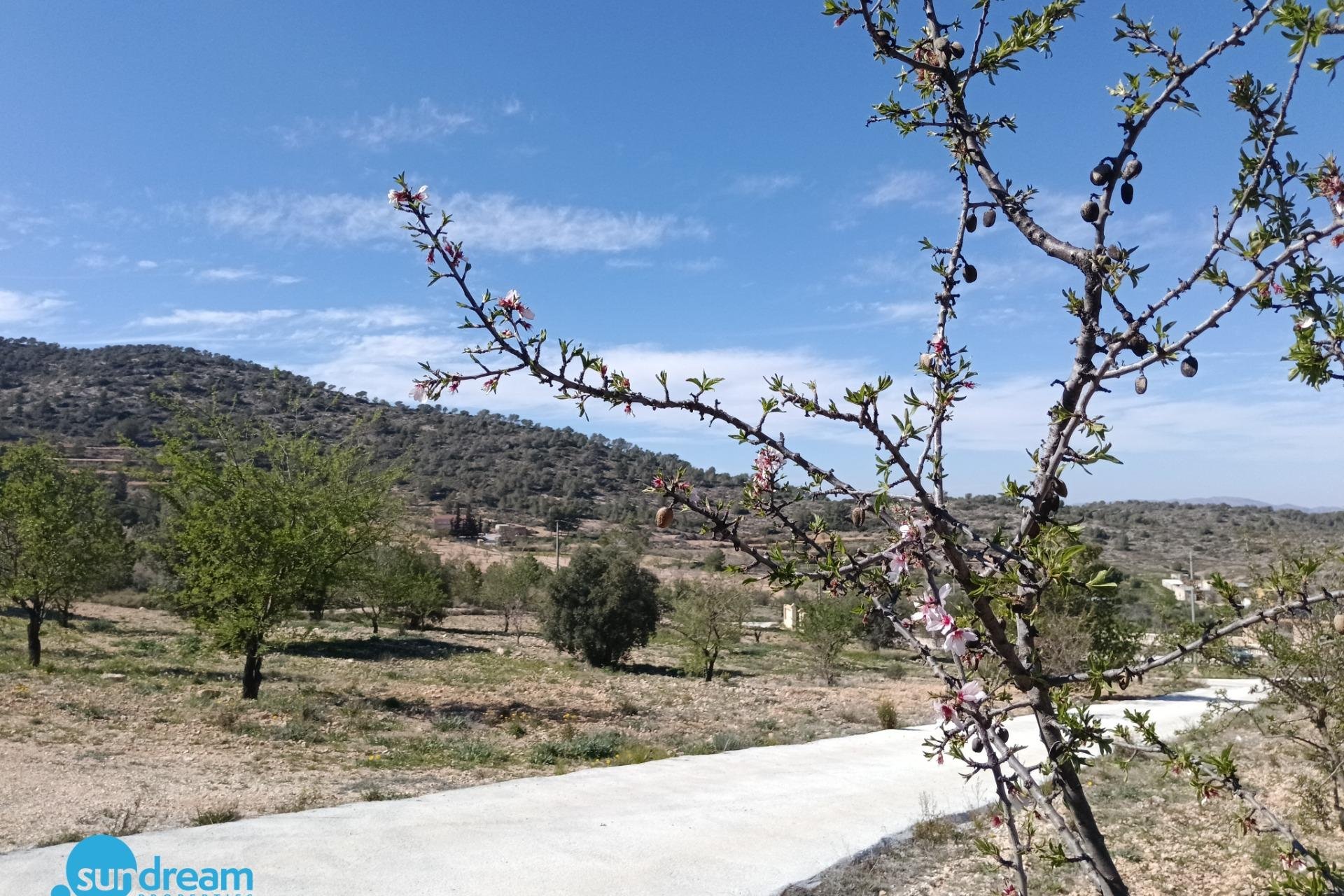 Segunda mano - Villa -
Abanilla