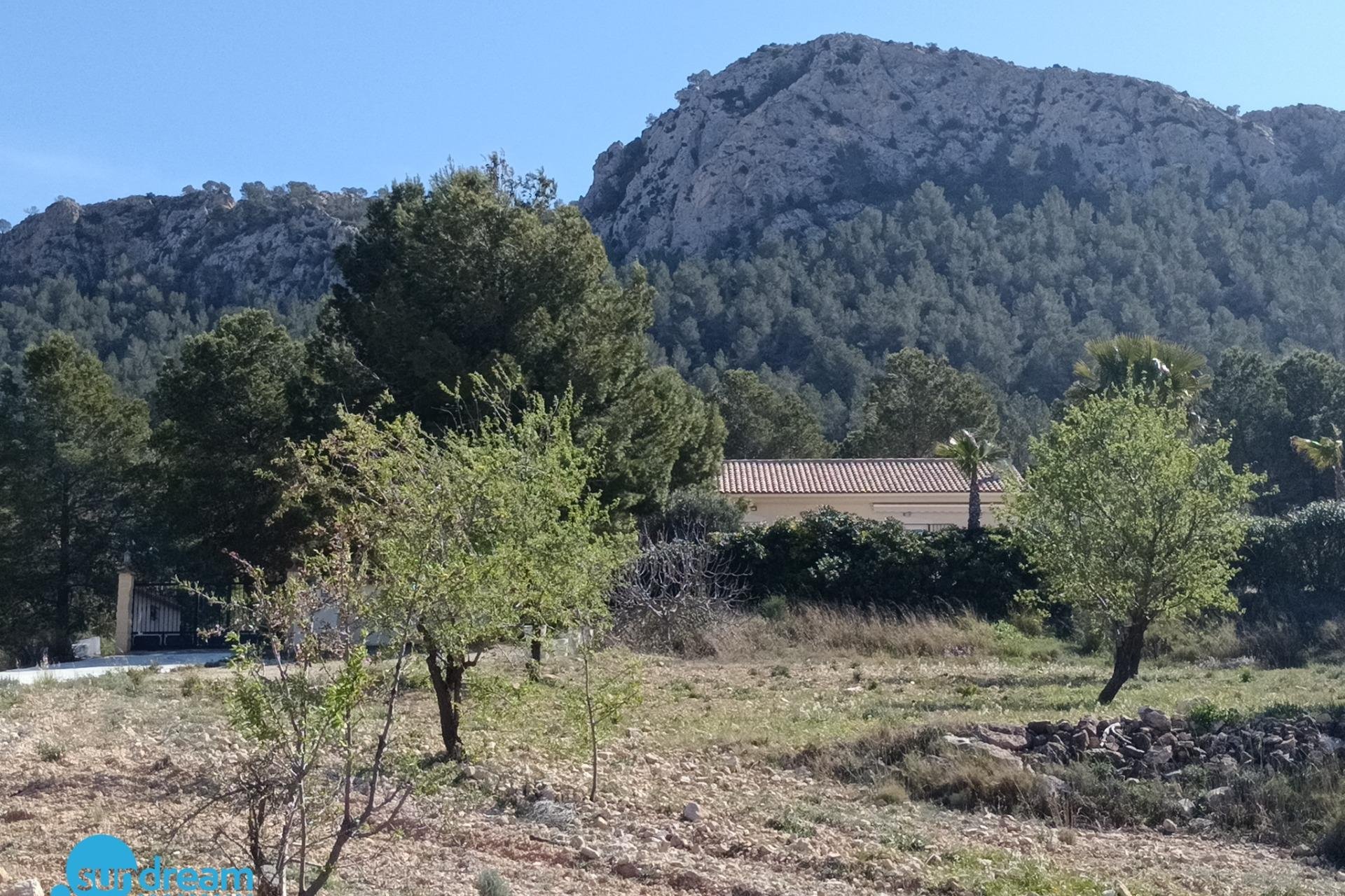 Segunda mano - Villa -
Abanilla