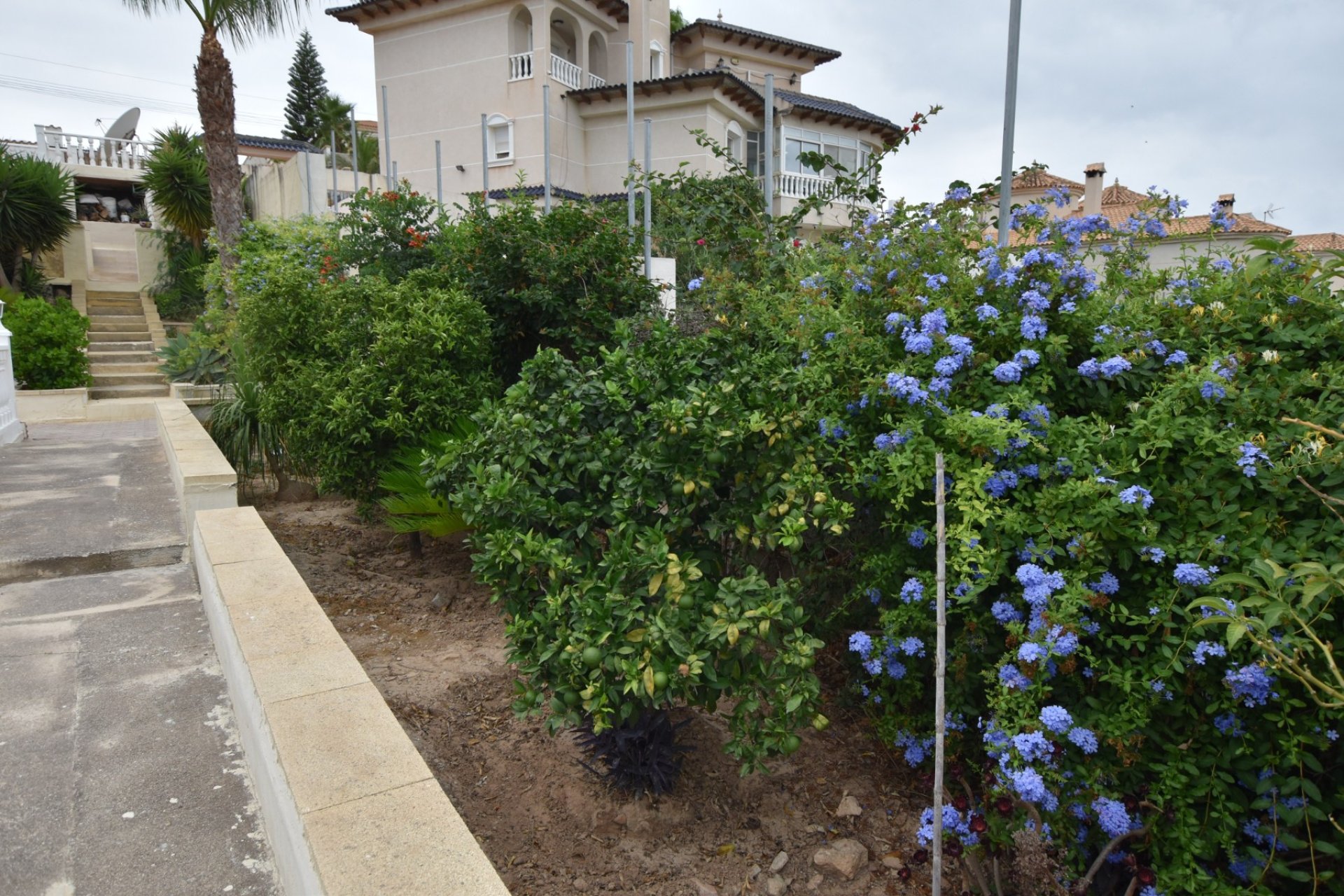 Segunda mano - Villa -
Algorfa - Inland