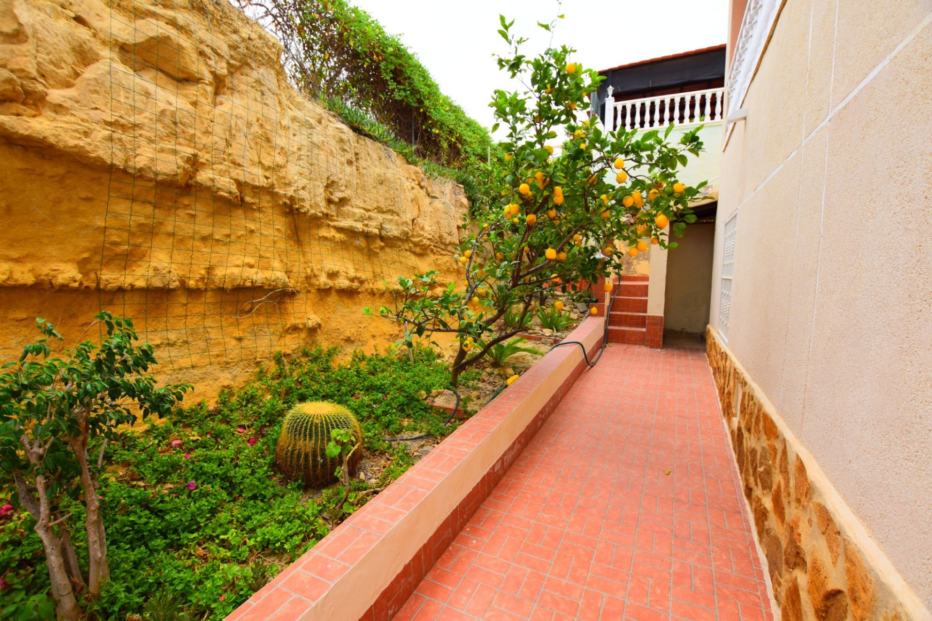 Segunda mano - Villa -
Algorfa - Inland