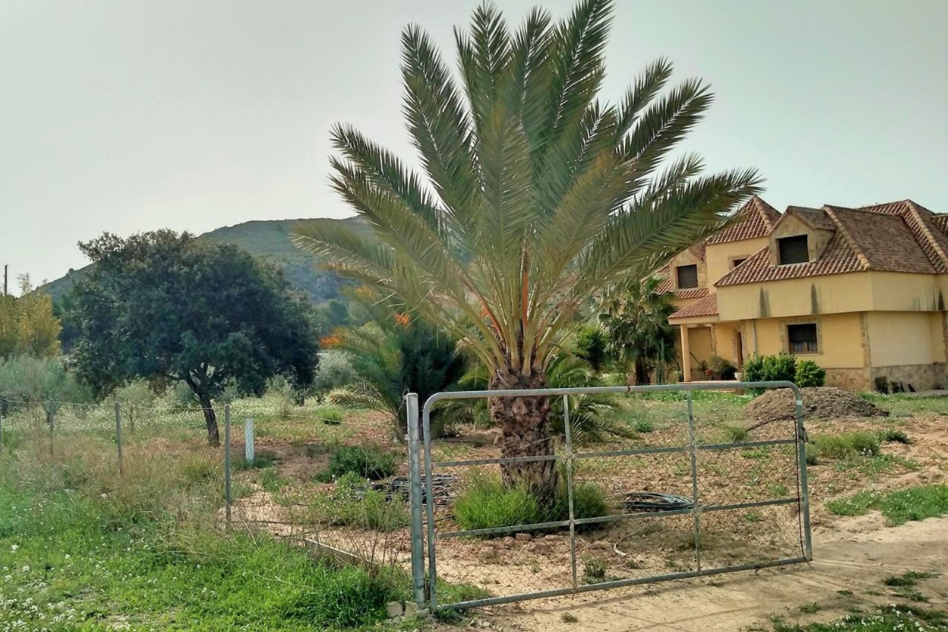 Segunda mano - Villa -
Aspe - Inland