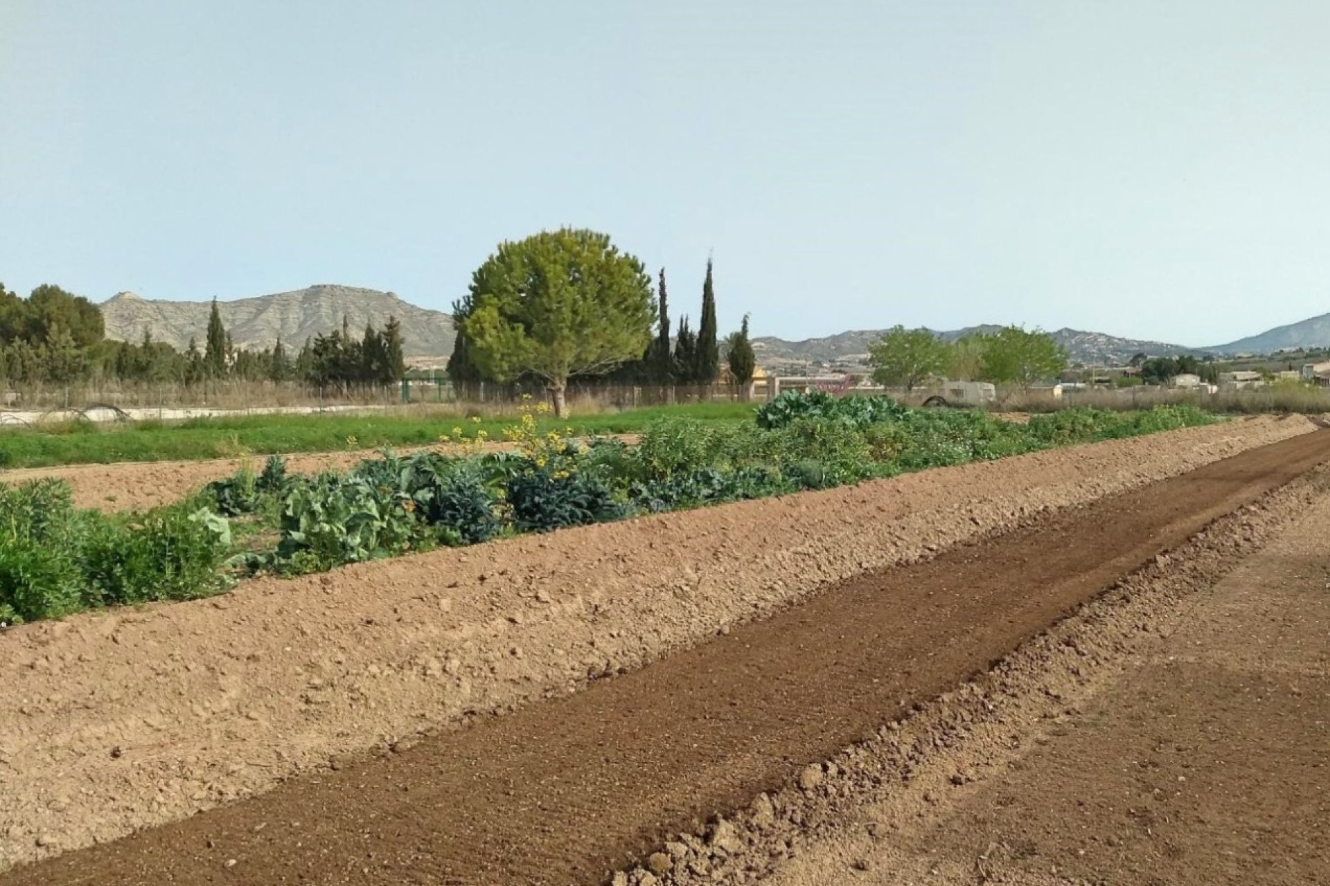 Segunda mano - Villa -
Aspe - Inland