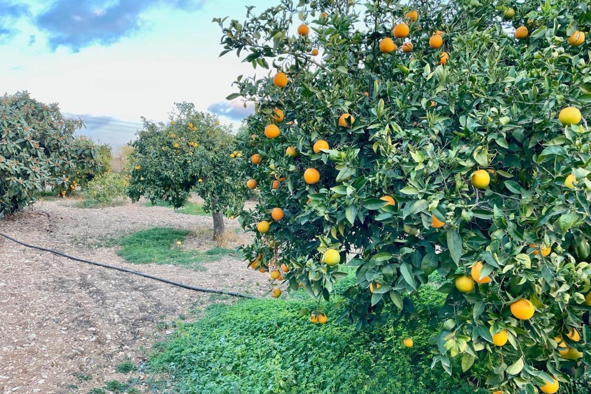 Segunda mano - Villa -
Benidorm - Salto Del Agua