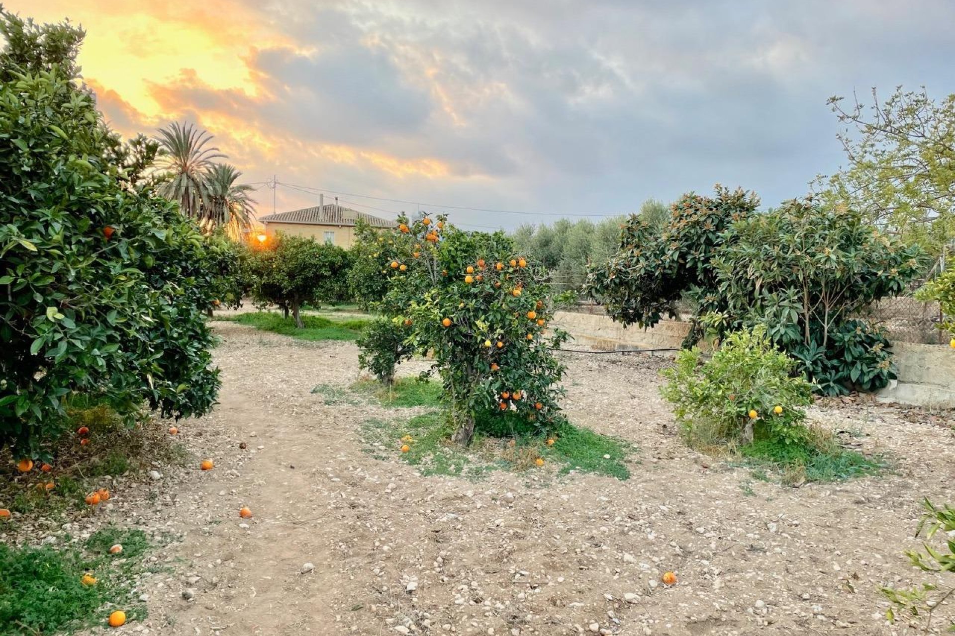 Segunda mano - Villa -
Benidorm - Salto Del Agua