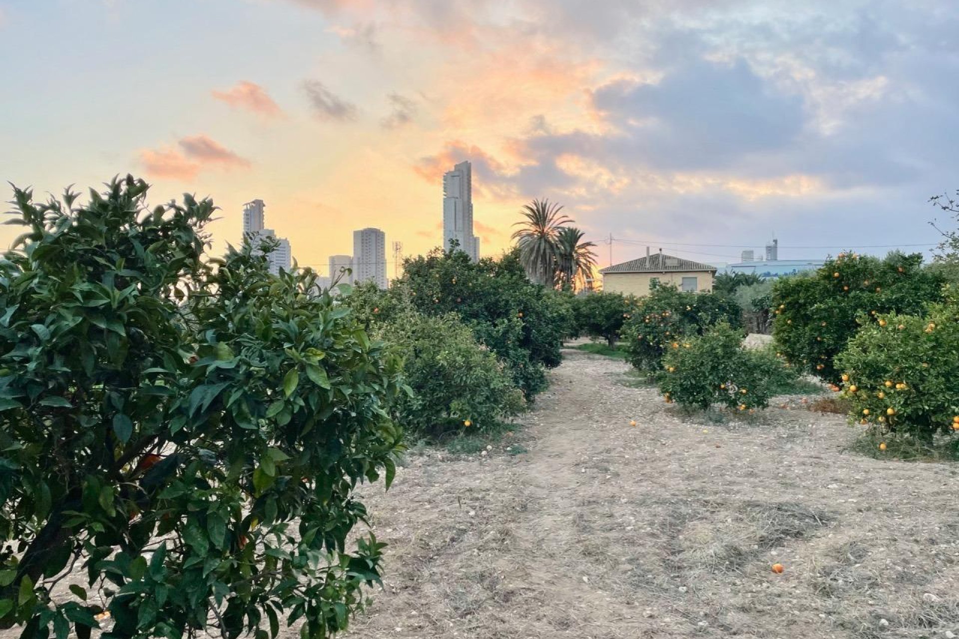 Segunda mano - Villa -
Benidorm - Salto Del Agua