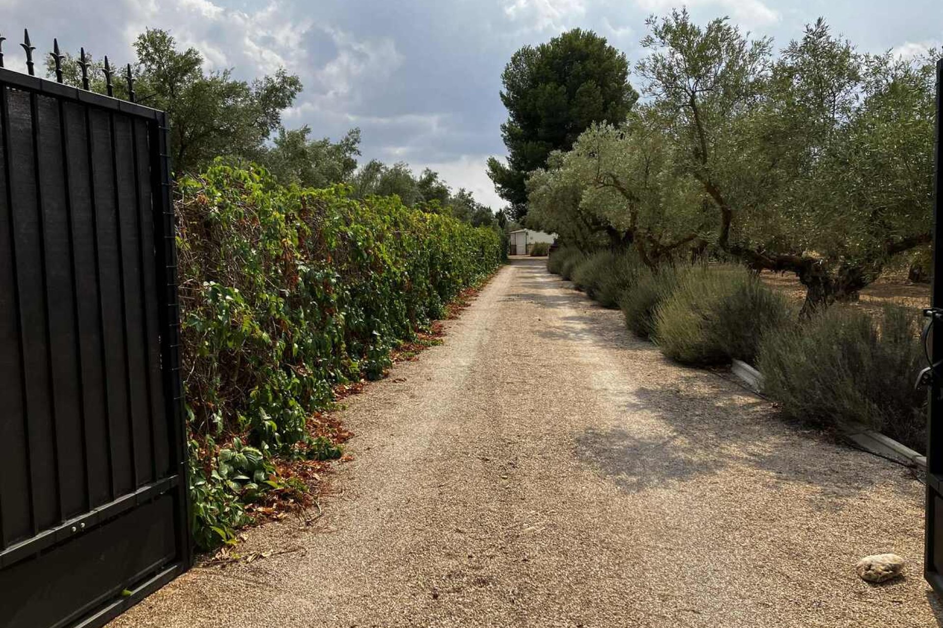 Segunda mano - Villa -
Biar - Costa Blanca