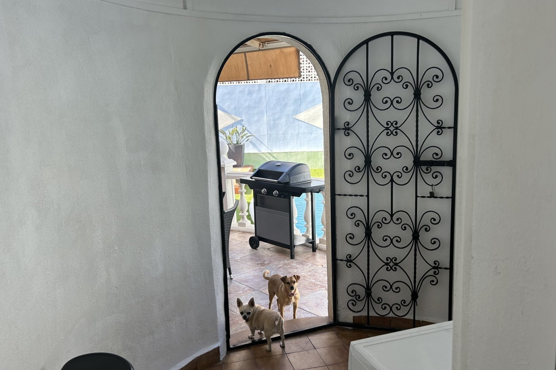 Segunda mano - Villa -
Cabo de Palos - Cala Flores