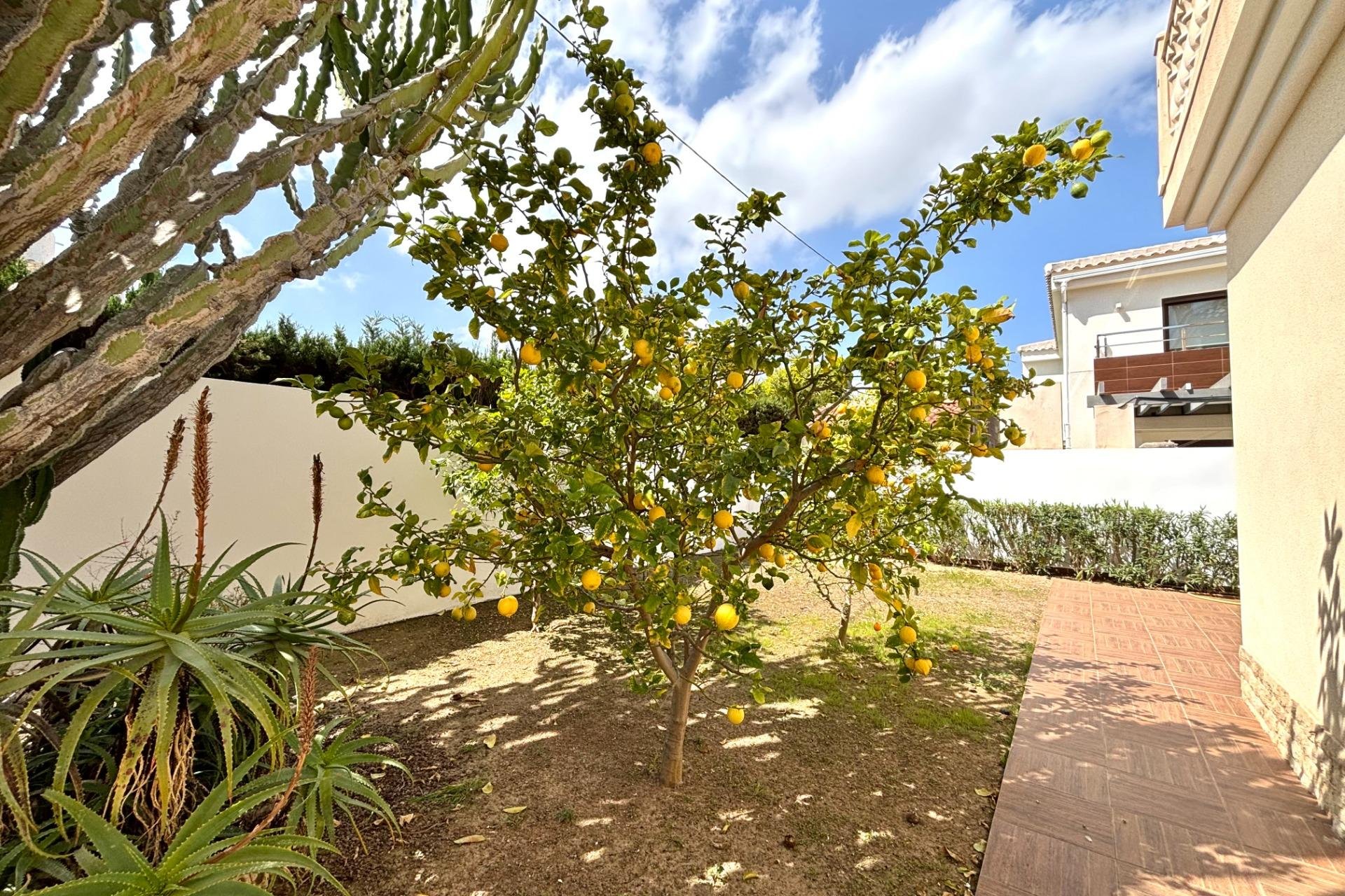 Segunda mano - Villa -
Cabo Roig - Costa Blanca