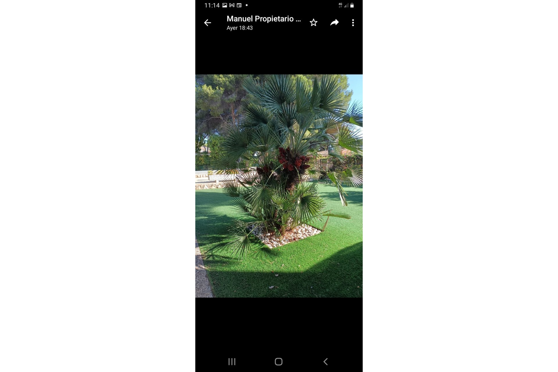 Segunda mano - Villa -
Campoamor - Costa Blanca