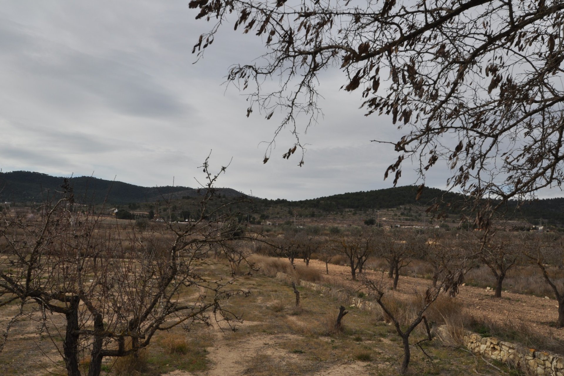 Segunda mano - Villa -
Chinorlet - Inland