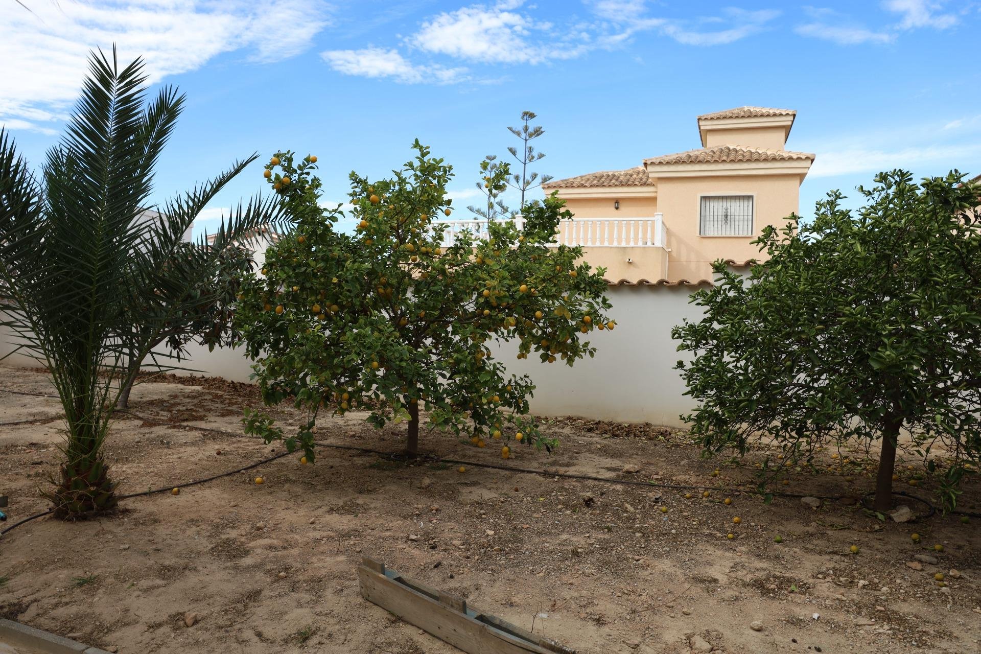 Segunda mano - Villa -
Ciudad Quesada - Costa Blanca Sur