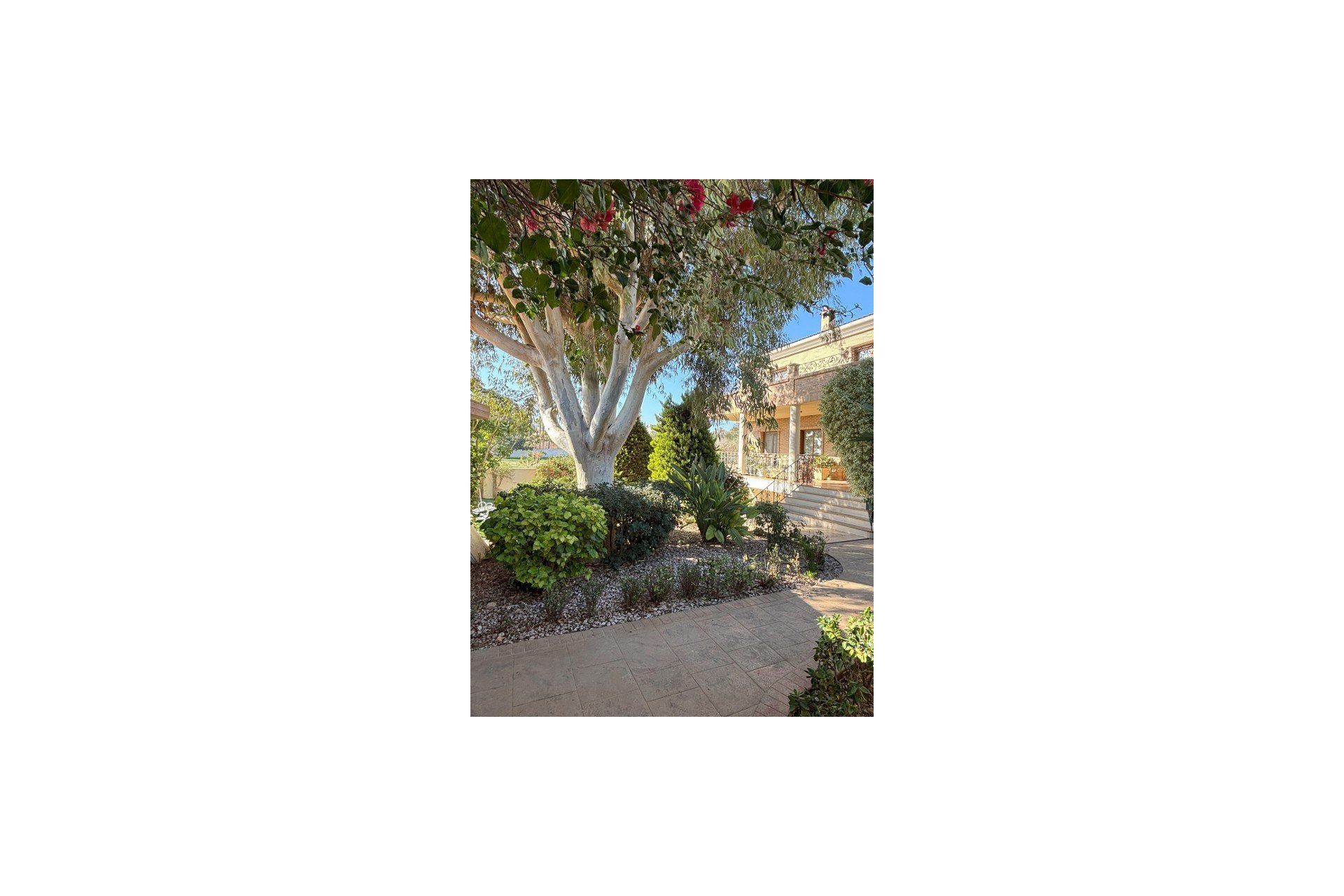 Segunda mano - Villa -
Ciudad Quesada - Costa Blanca