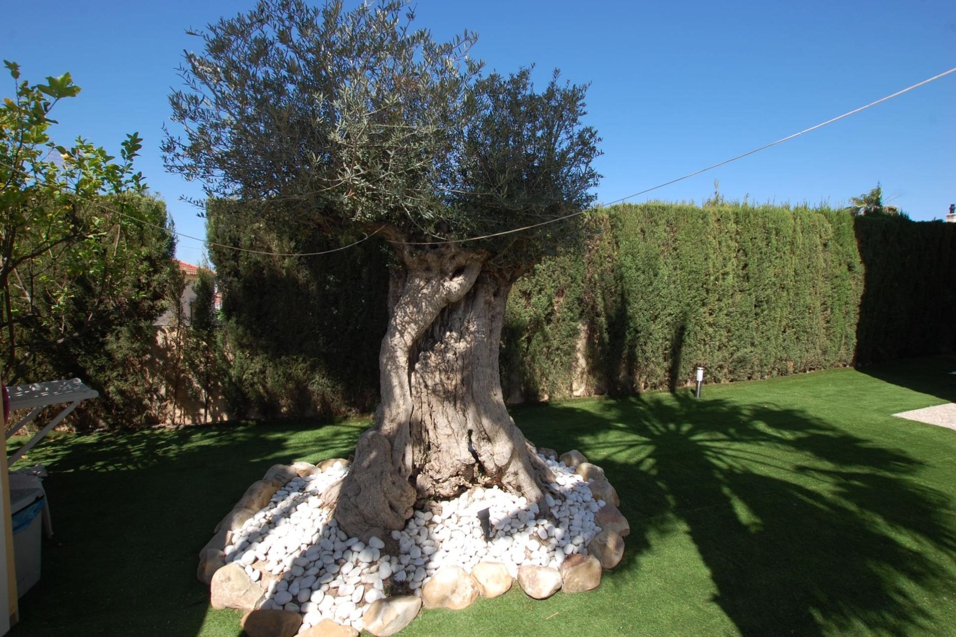 Segunda mano - Villa -
Ciudad Quesada - Costa Blanca