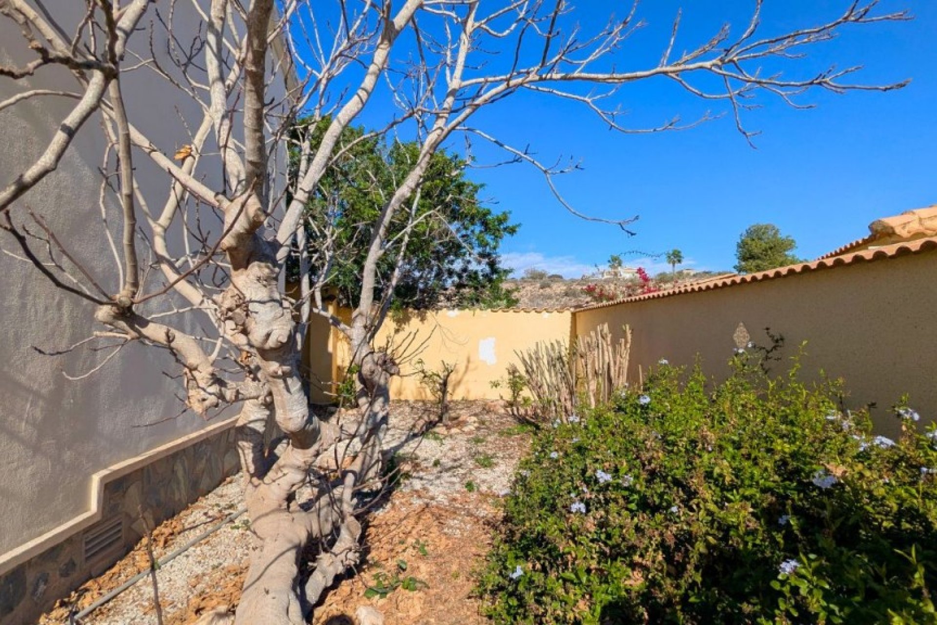 Segunda mano - Villa -
Ciudad Quesada - Costa Blanca