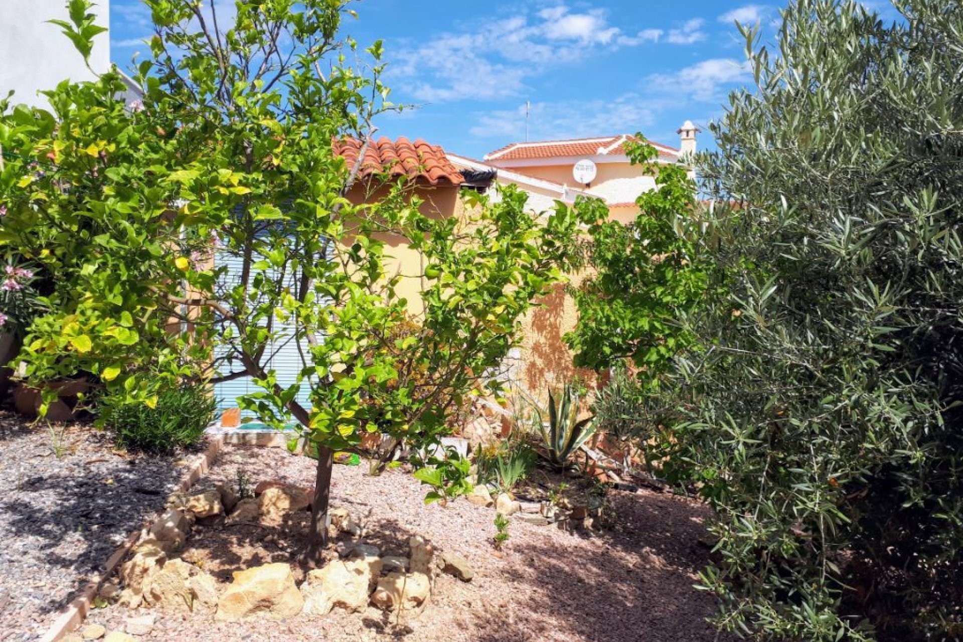 Segunda mano - Villa -
Ciudad Quesada - Costa Blanca