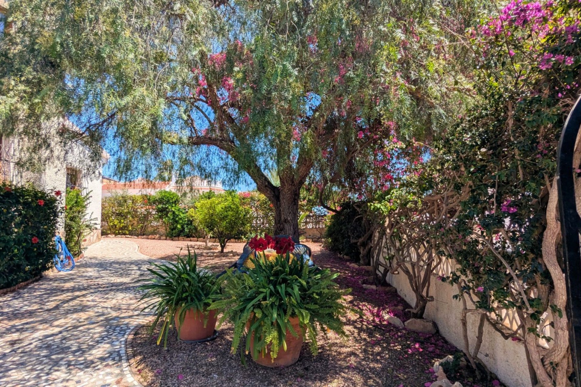 Segunda mano - Villa -
Ciudad Quesada - Costa Blanca