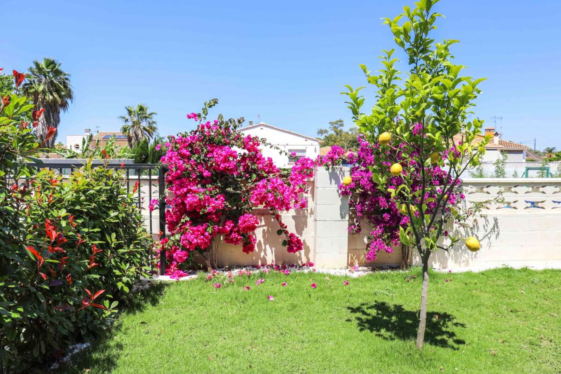 Segunda mano - Villa -
Denia - Costa Blanca
