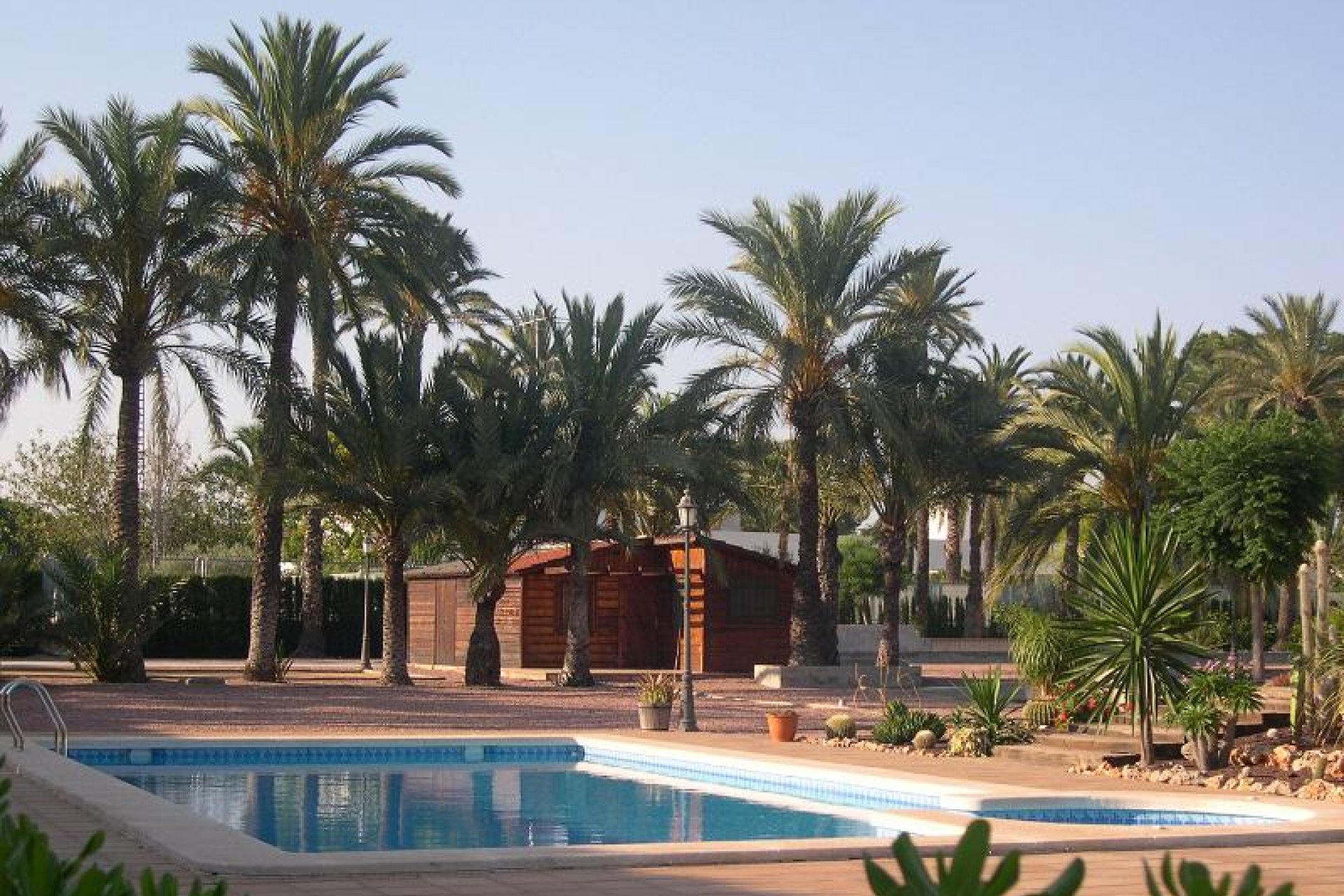 Segunda mano - Villa -
Elche - Costa Blanca