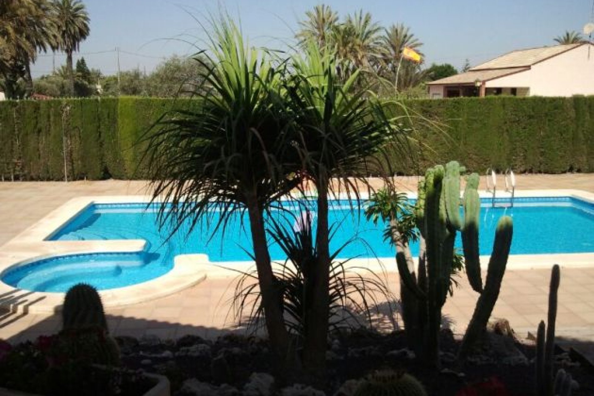 Segunda mano - Villa -
Elche - Costa Blanca