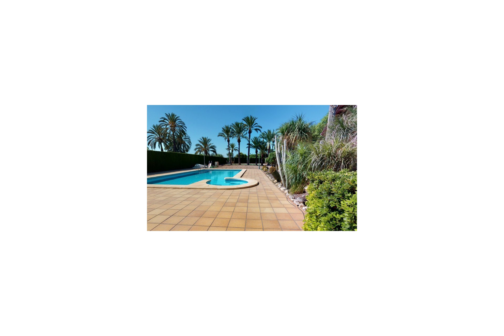 Segunda mano - Villa -
Elche - Costa Blanca