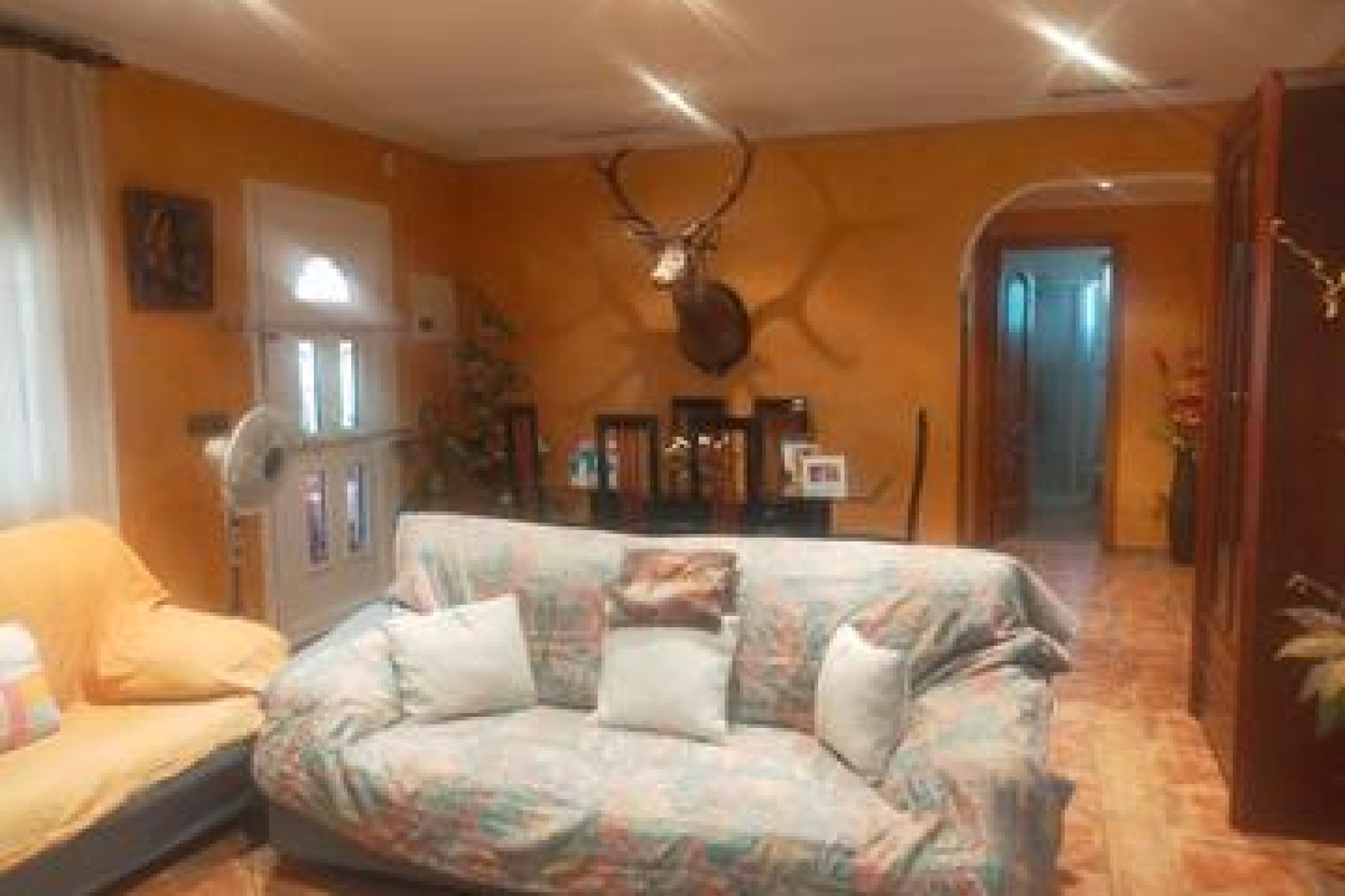 Segunda mano - Villa -
Elche - Costa Blanca
