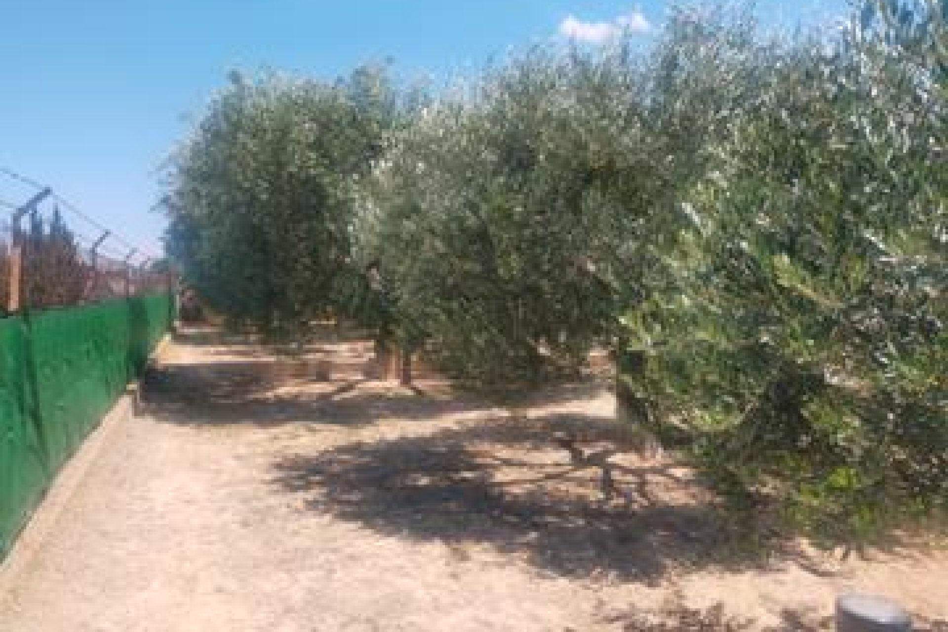 Segunda mano - Villa -
Elche - Costa Blanca