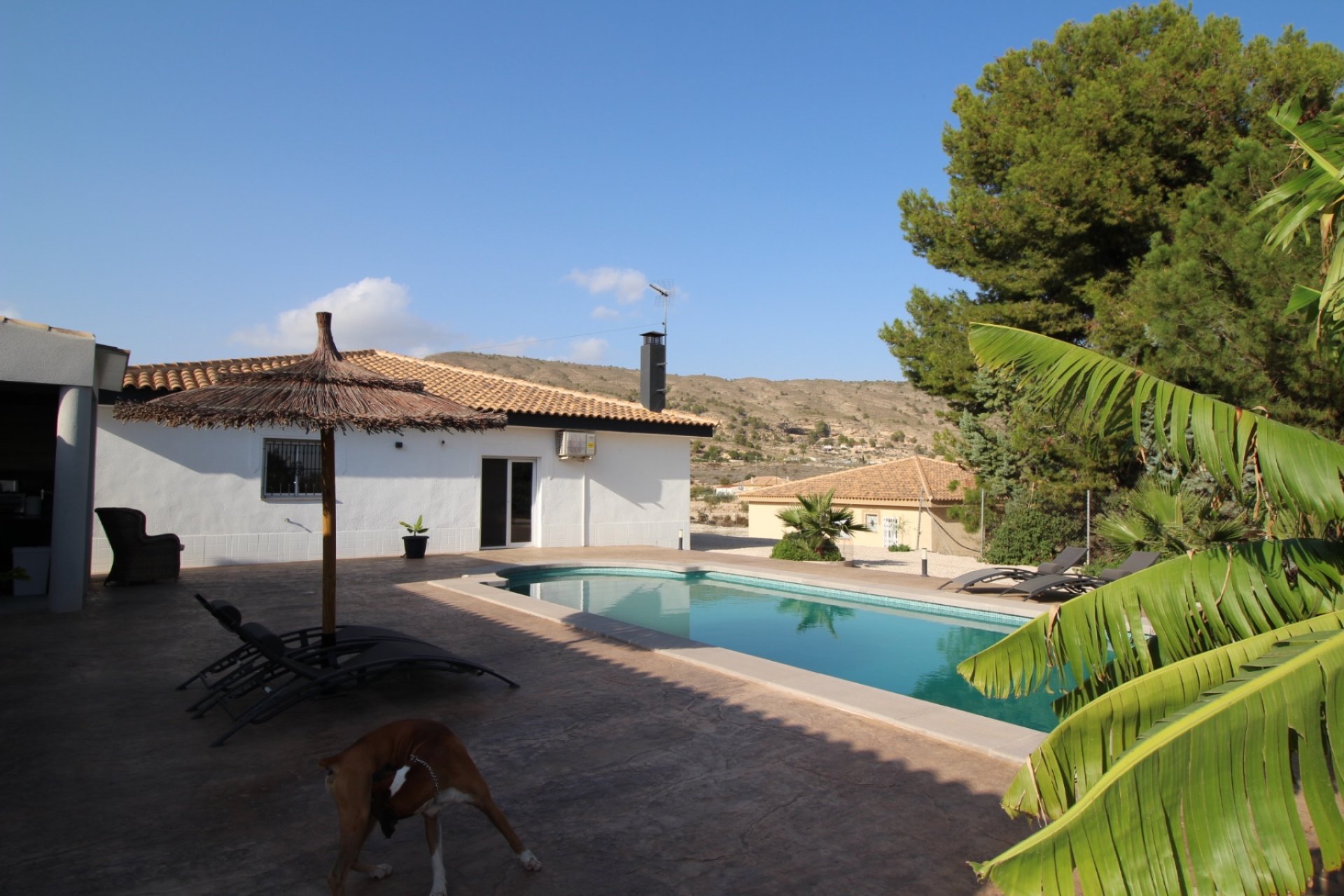 Segunda mano - Villa -
Fortuna - Inland