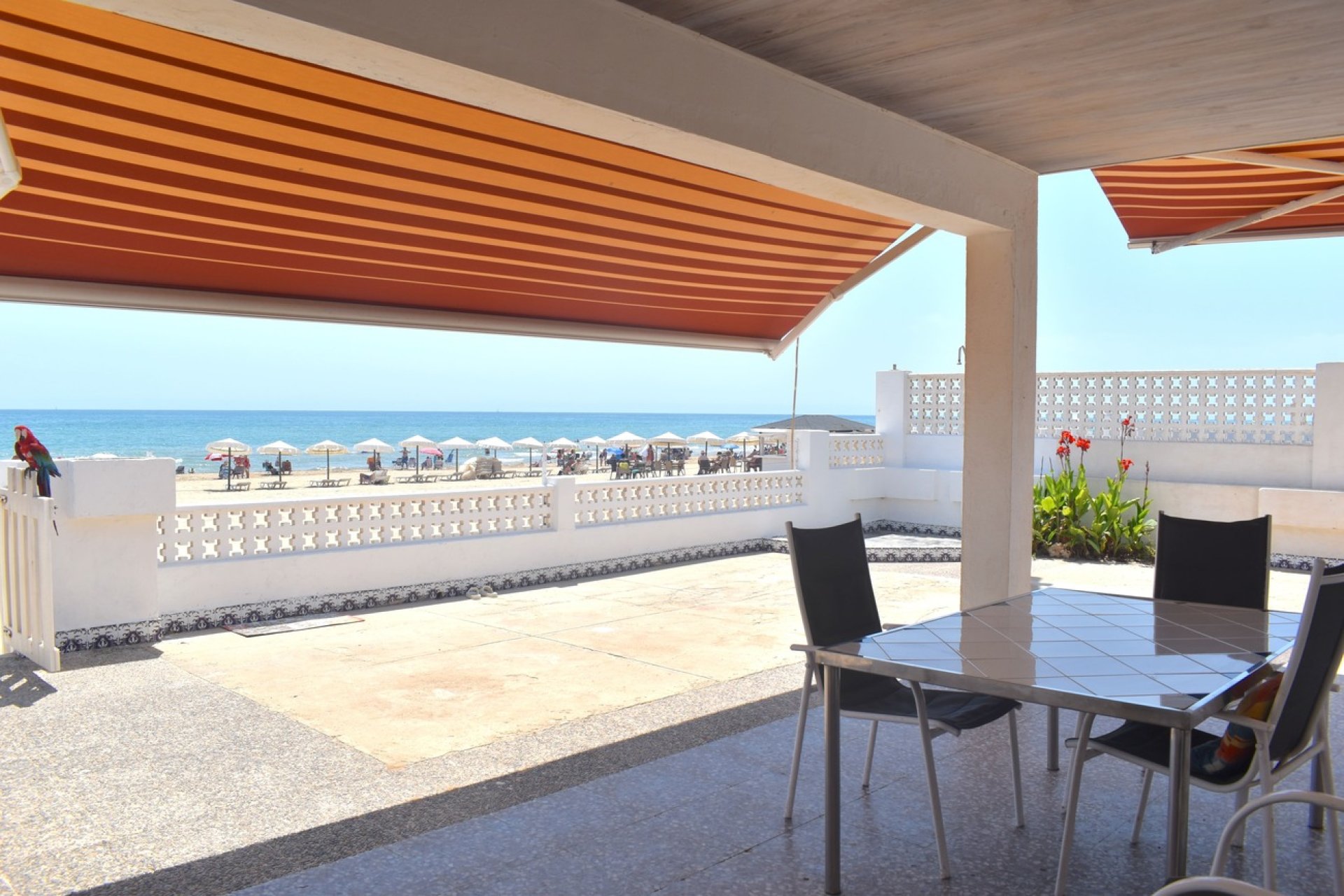 Segunda mano - Villa -
Guardamar del Segura - Costa Blanca