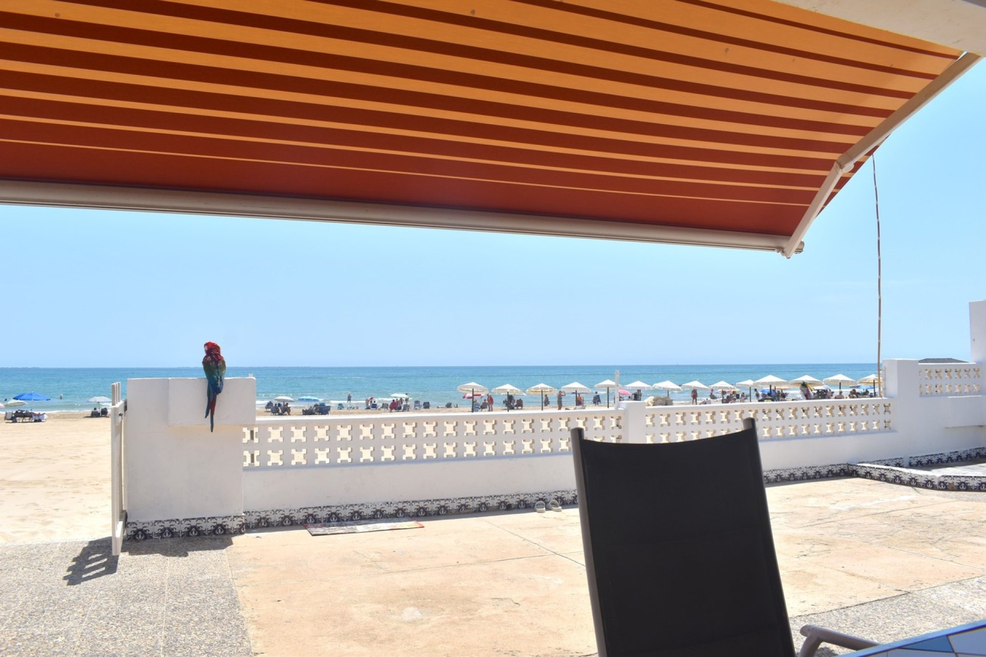 Segunda mano - Villa -
Guardamar del Segura - Costa Blanca
