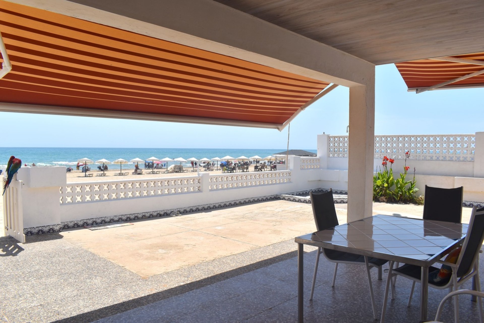 Segunda mano - Villa -
Guardamar del Segura - Costa Blanca