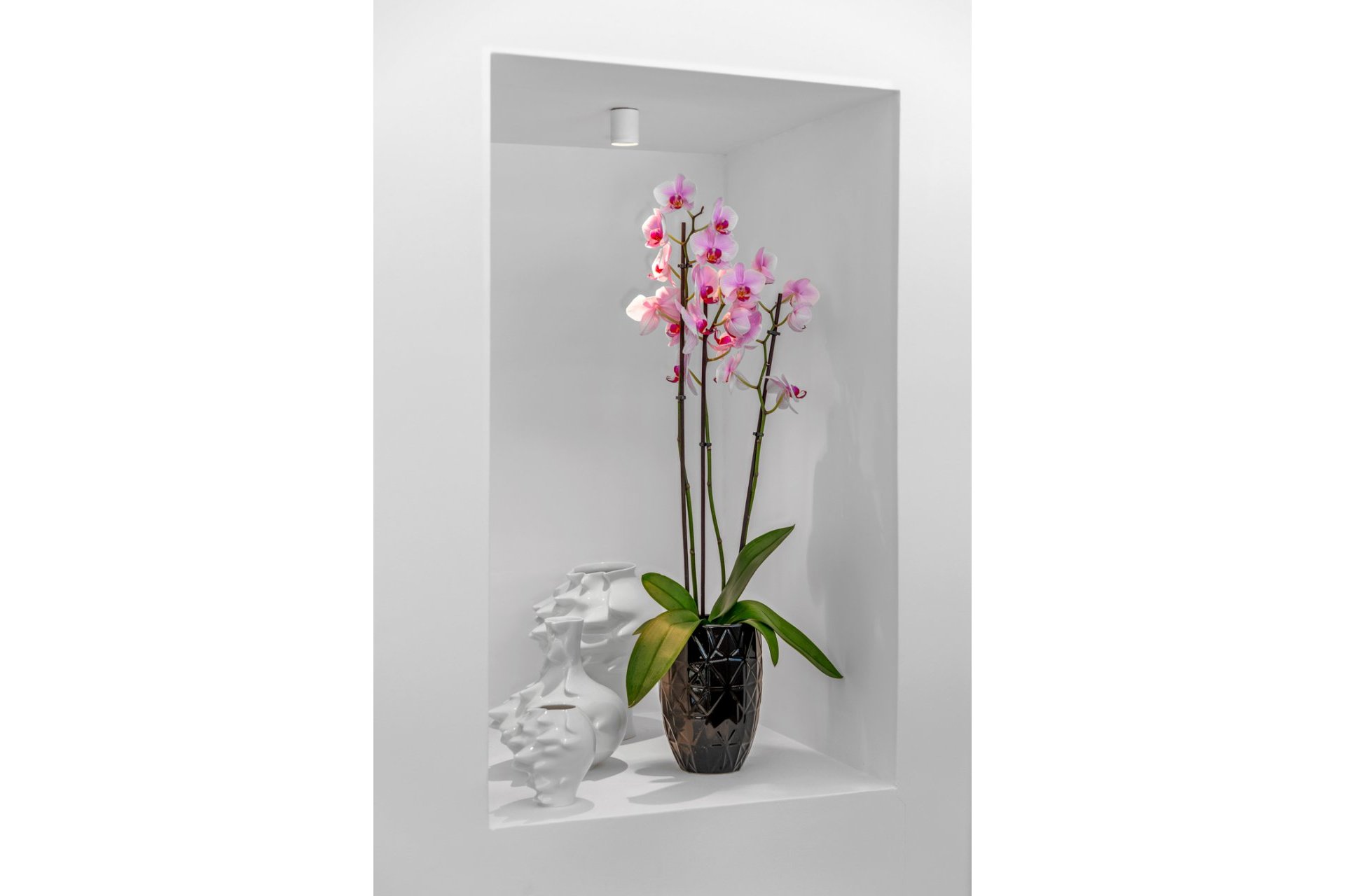 Segunda mano - Villa -
Guardamar del Segura - Costa Blanca