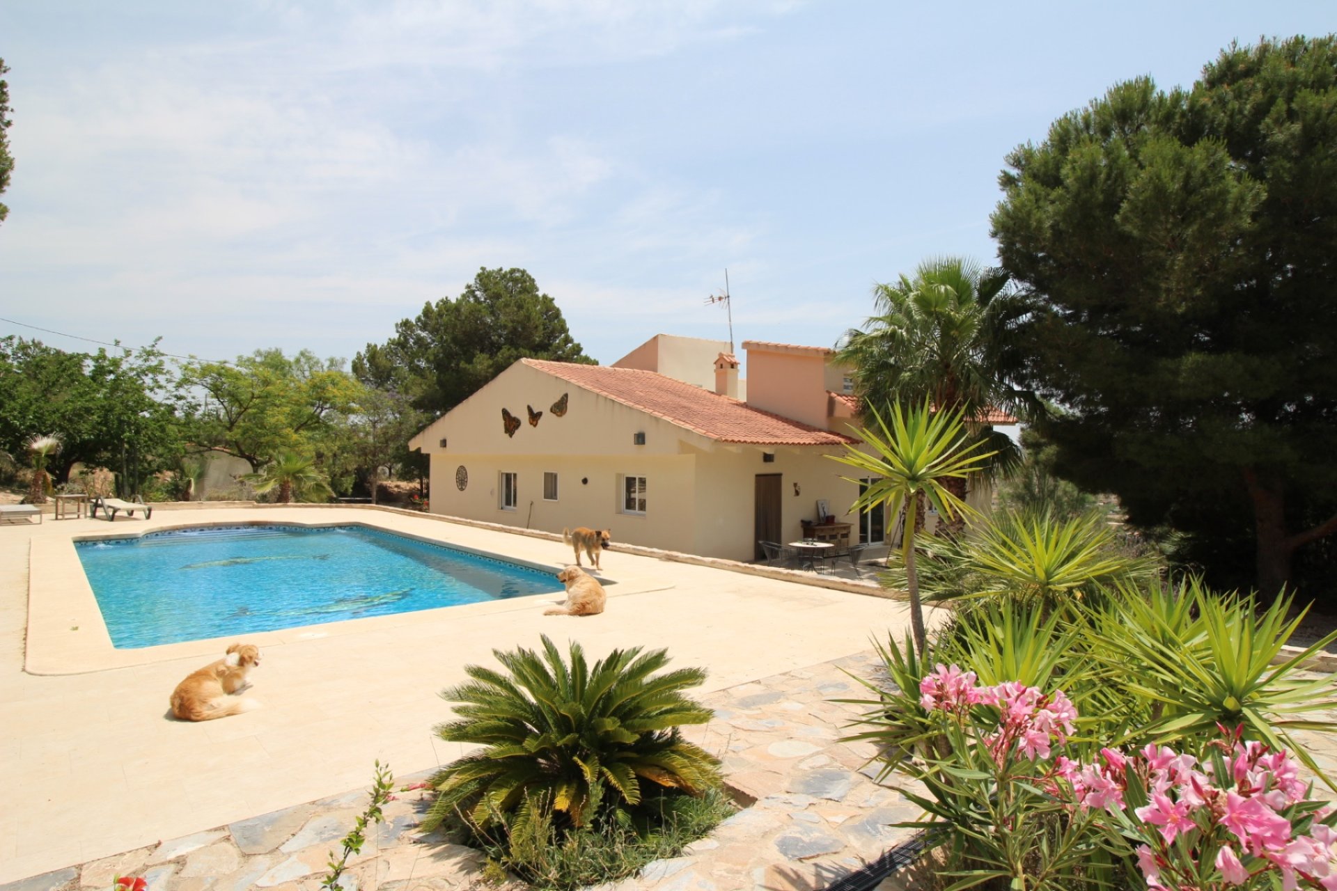 Segunda mano - Villa -
Hondón de las Nieves - Inland