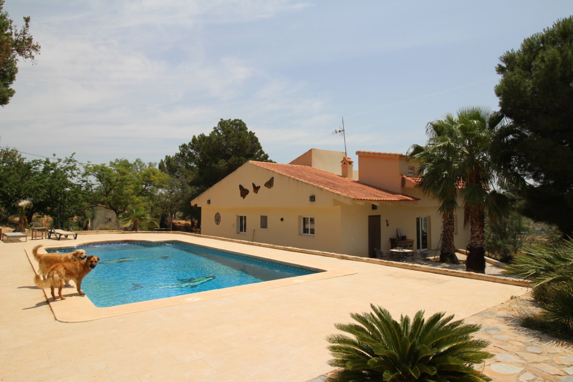 Segunda mano - Villa -
Hondón de las Nieves - Inland