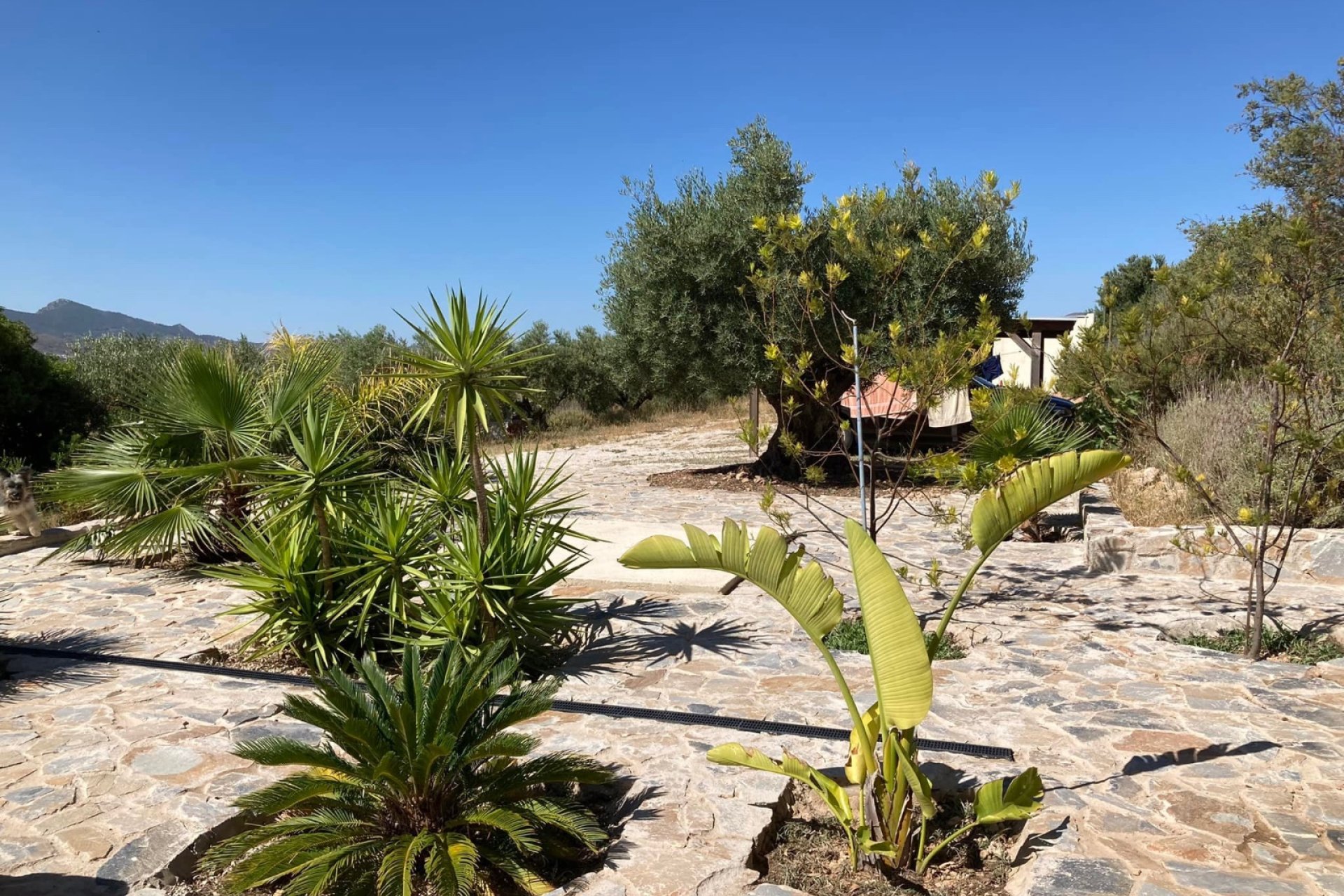 Segunda mano - Villa -
Hondón de las Nieves - Inland