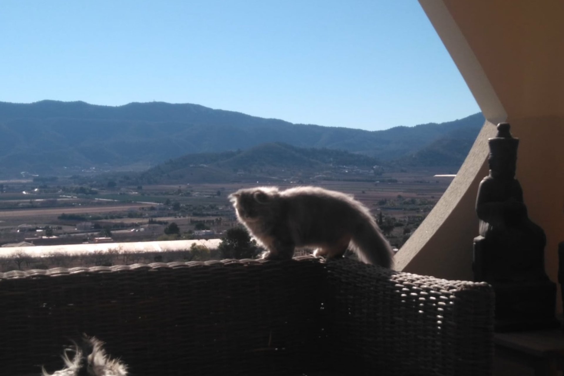 Segunda mano - Villa -
Hondón de las Nieves - Inland