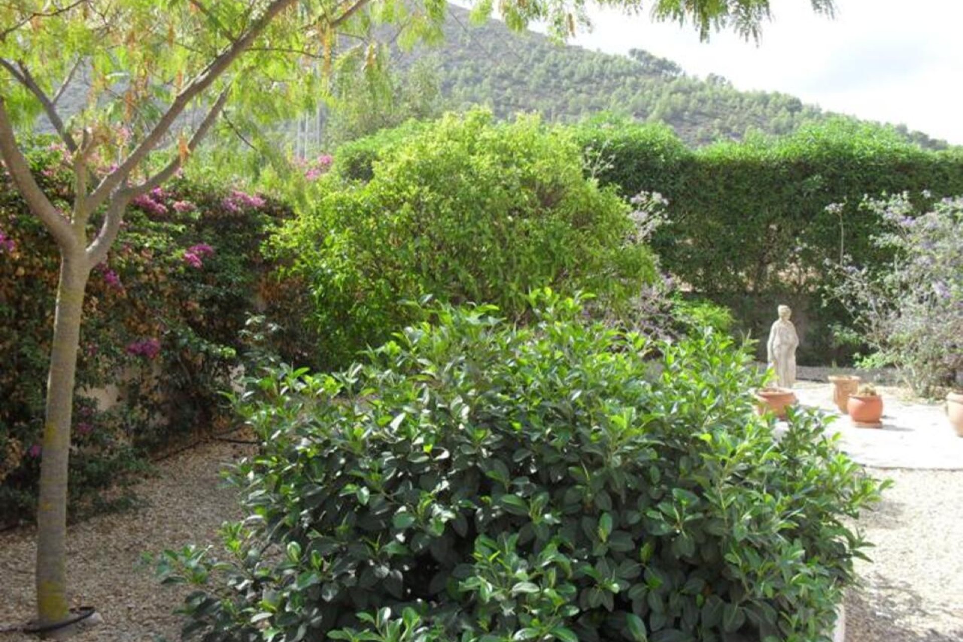 Segunda mano - Villa -
Jalón - Inland