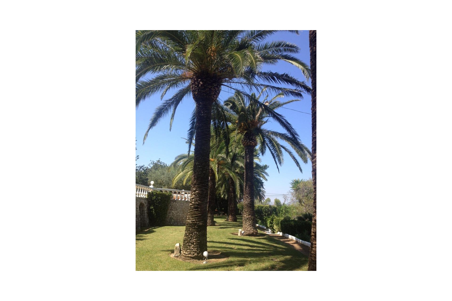 Segunda mano - Villa -
Jávea - Costa Blanca