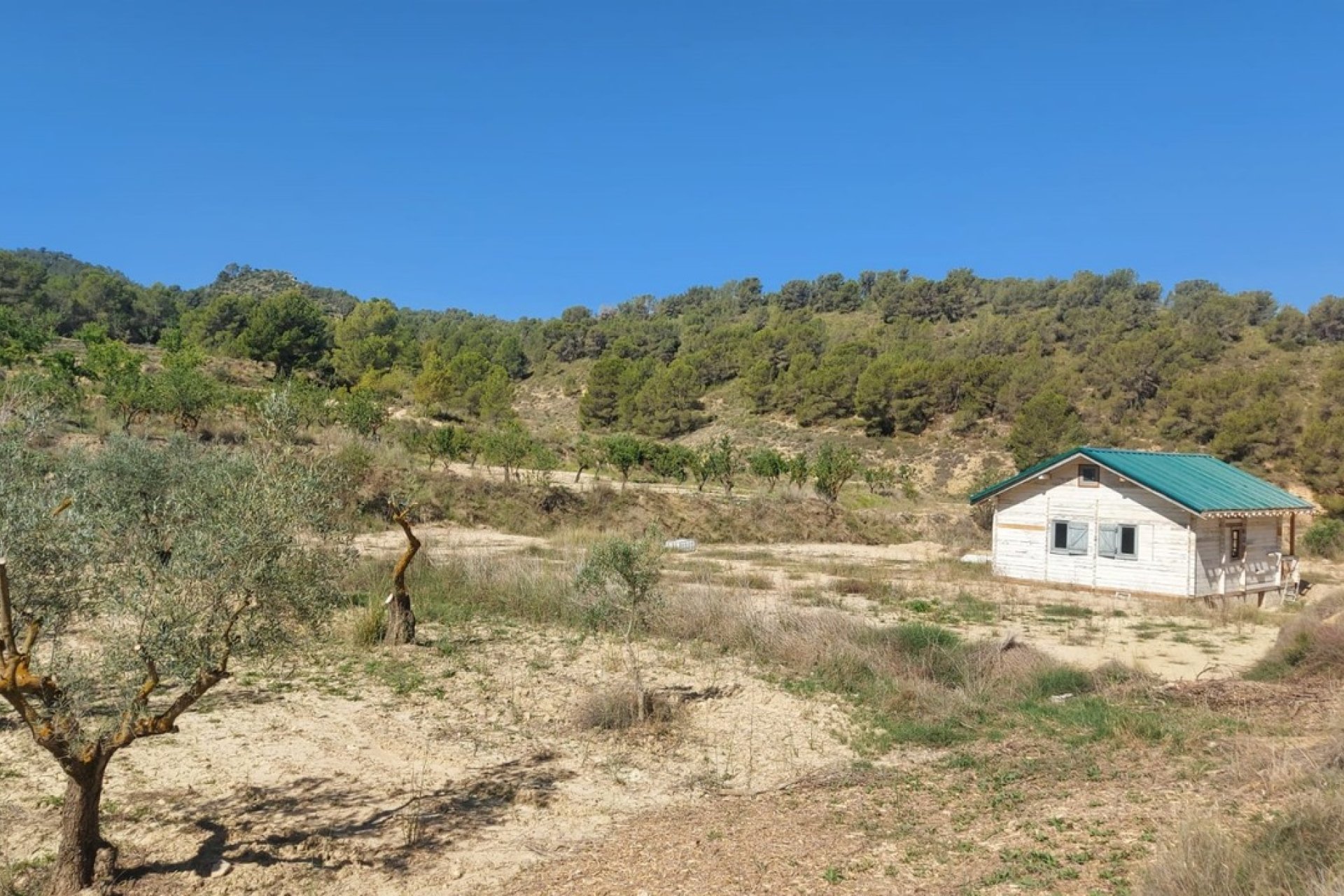 Segunda mano - Villa -
Jumilla - Inland