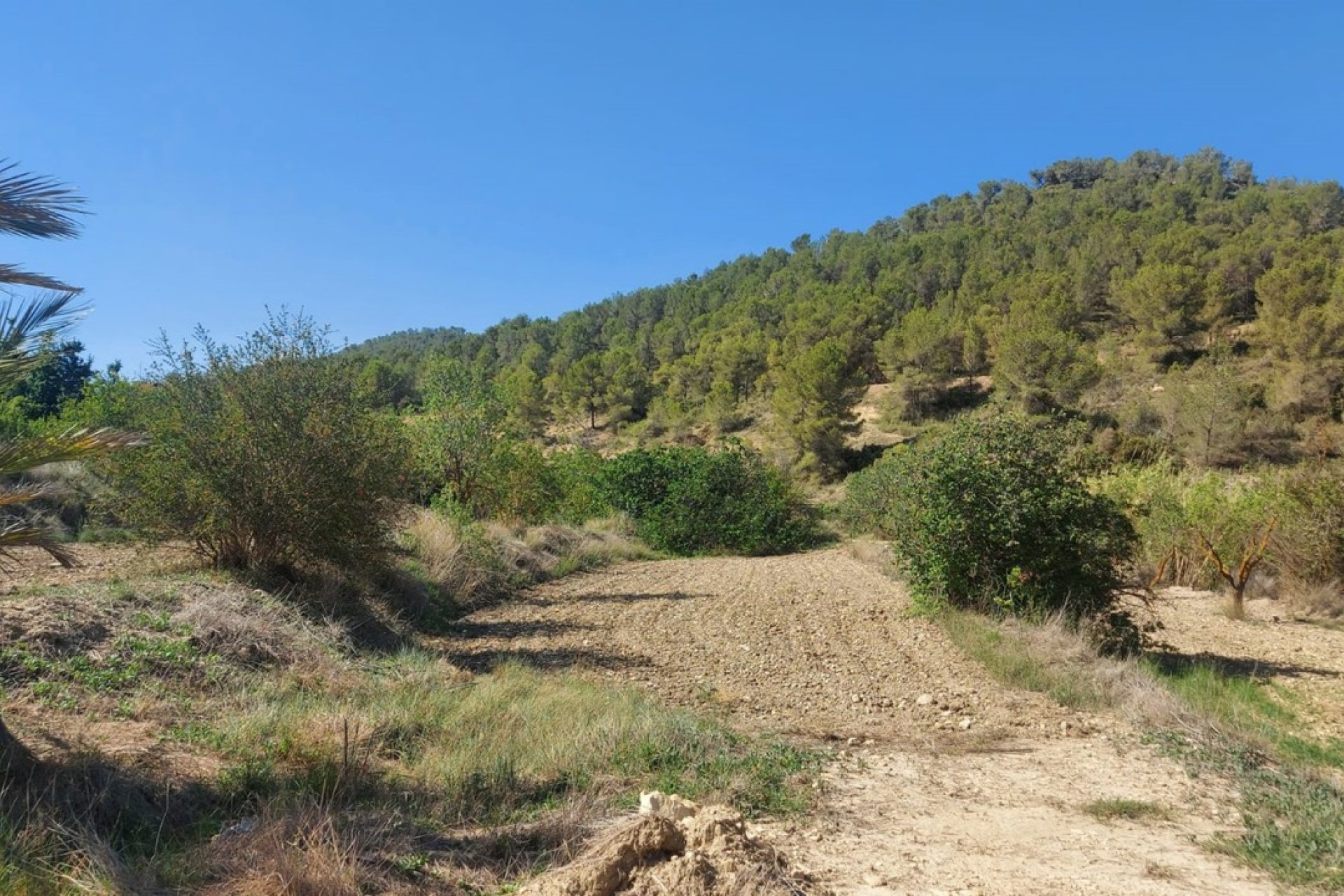 Segunda mano - Villa -
Jumilla - Inland