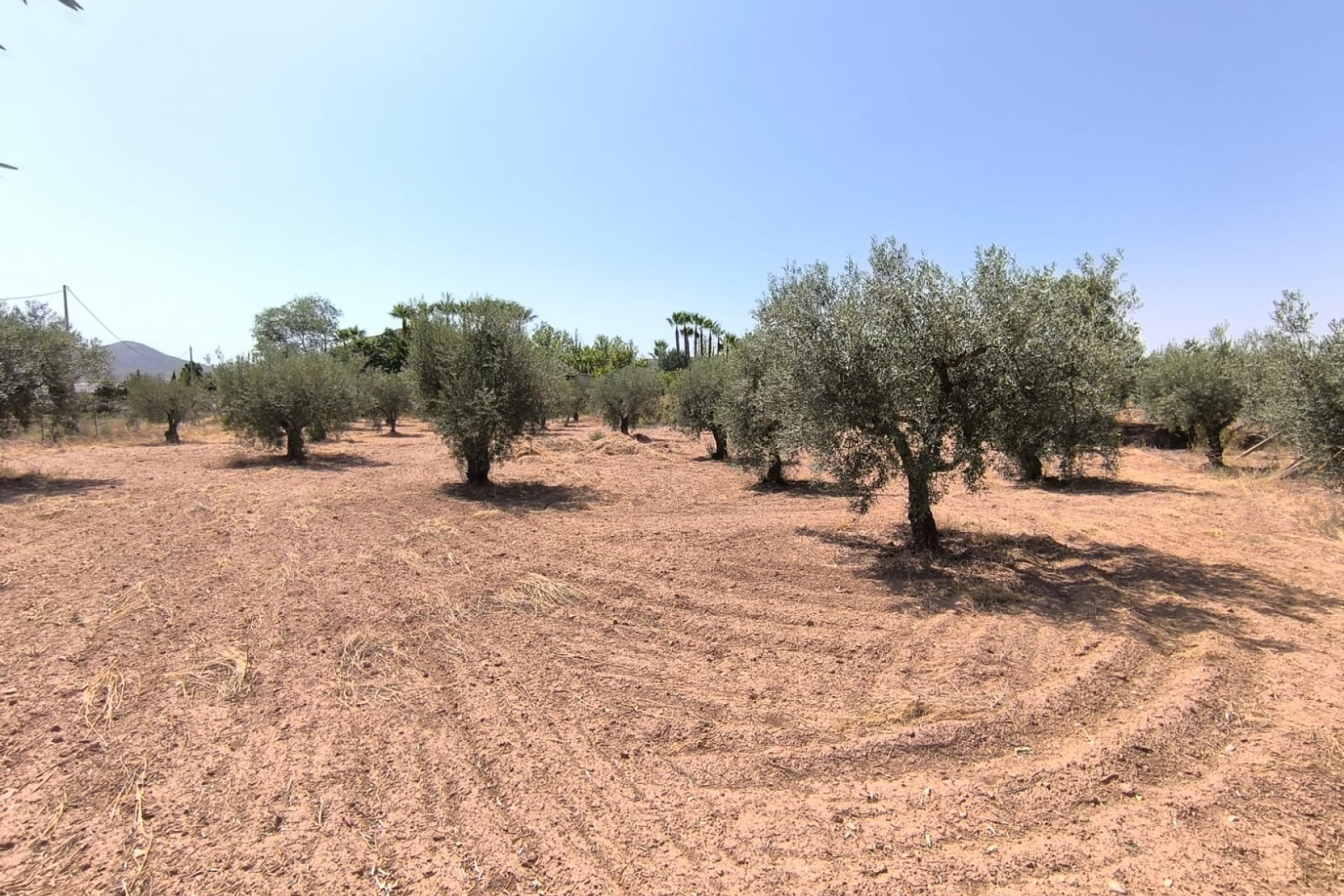 Segunda mano - Villa -
Jumilla - Inland