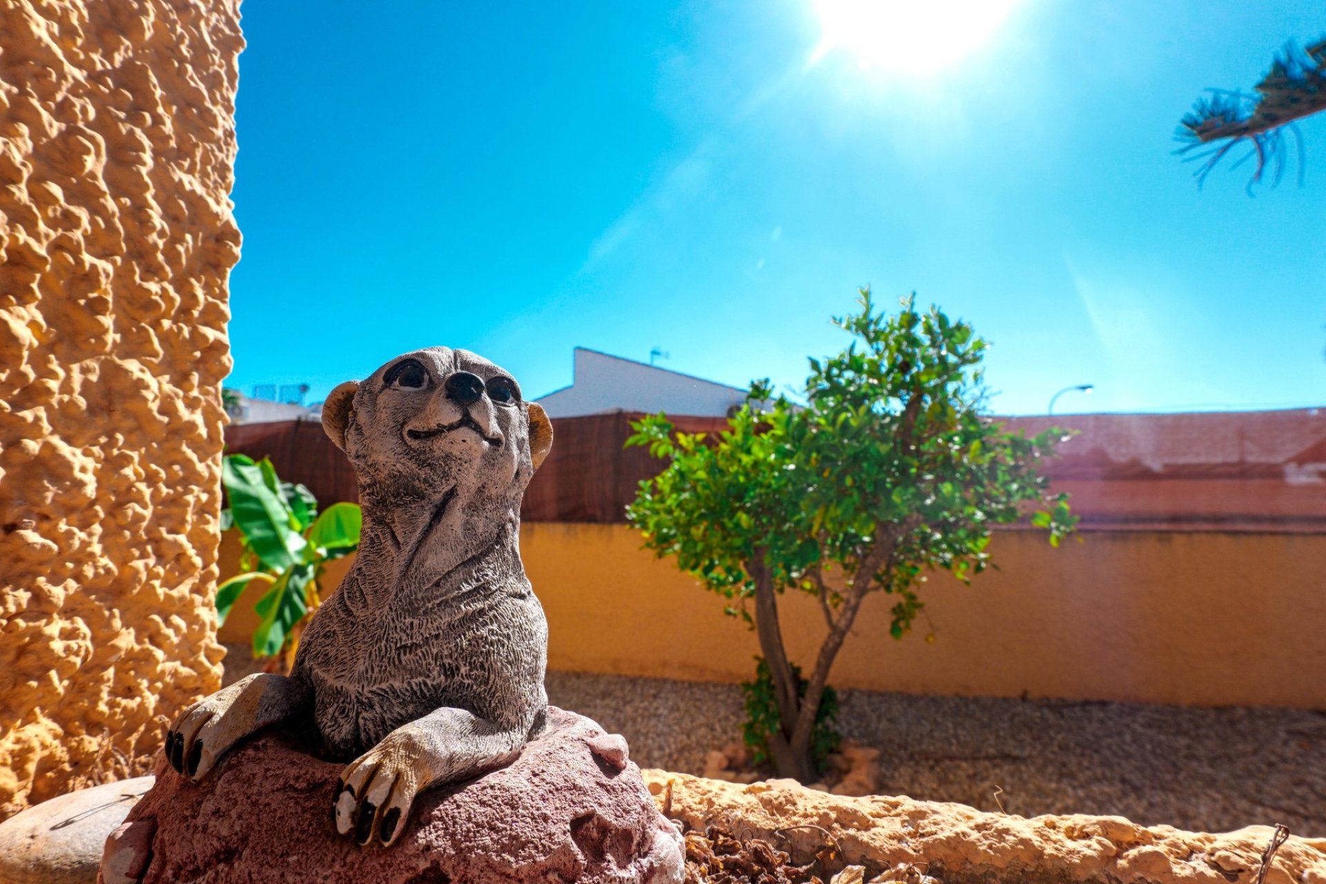 Segunda mano - Villa -
La Siesta - Costa Blanca