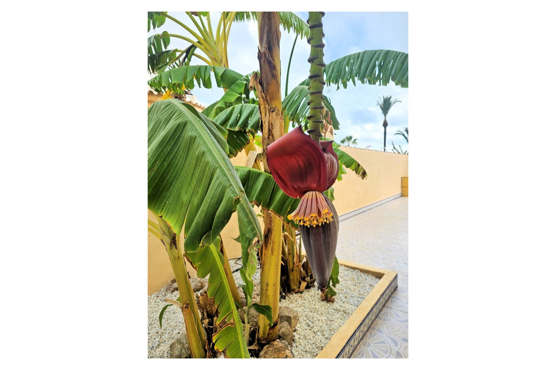 Segunda mano - Villa -
Los Urrutias - Costa Calida