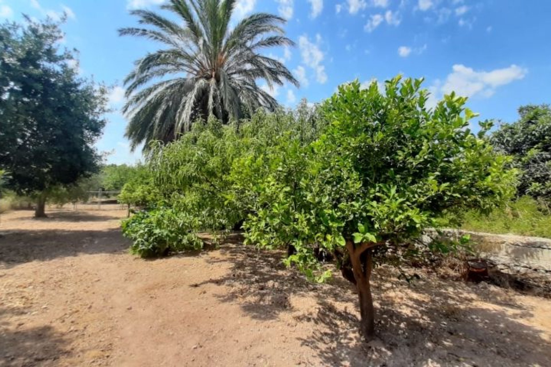 Segunda mano - Villa -
Macisvenda - Inland