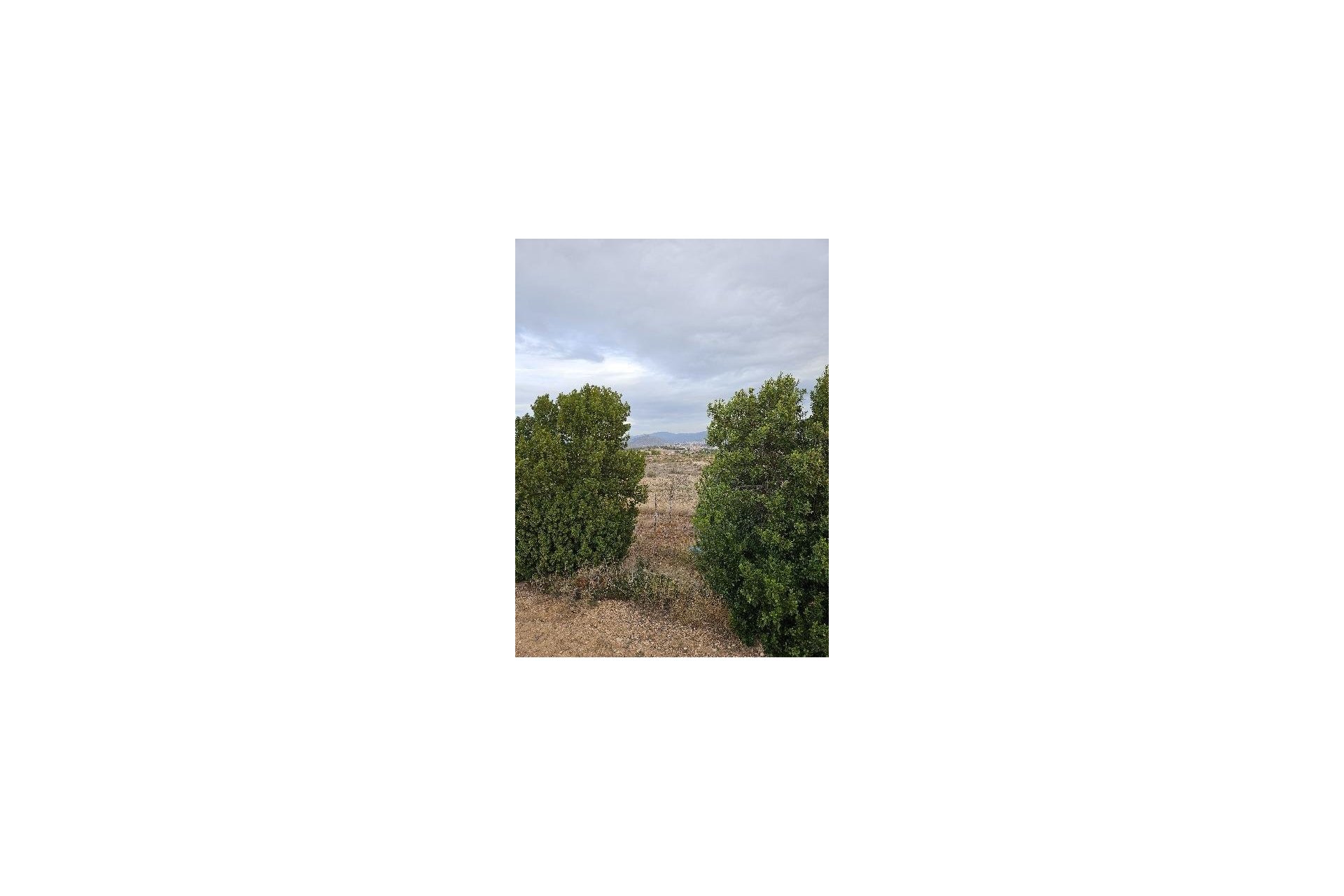 Segunda mano - Villa -
Monóvar/Monóver - 03640