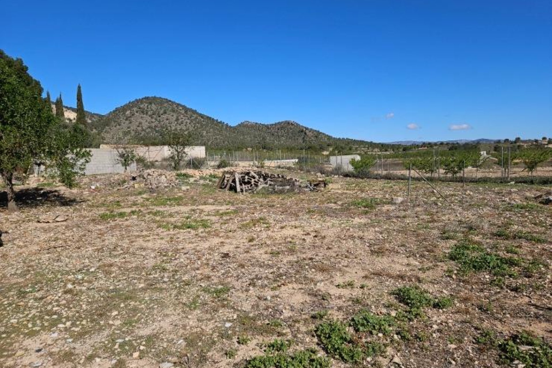 Segunda mano - Villa -
Monóvar/Monóver - Comunidad Valenciana