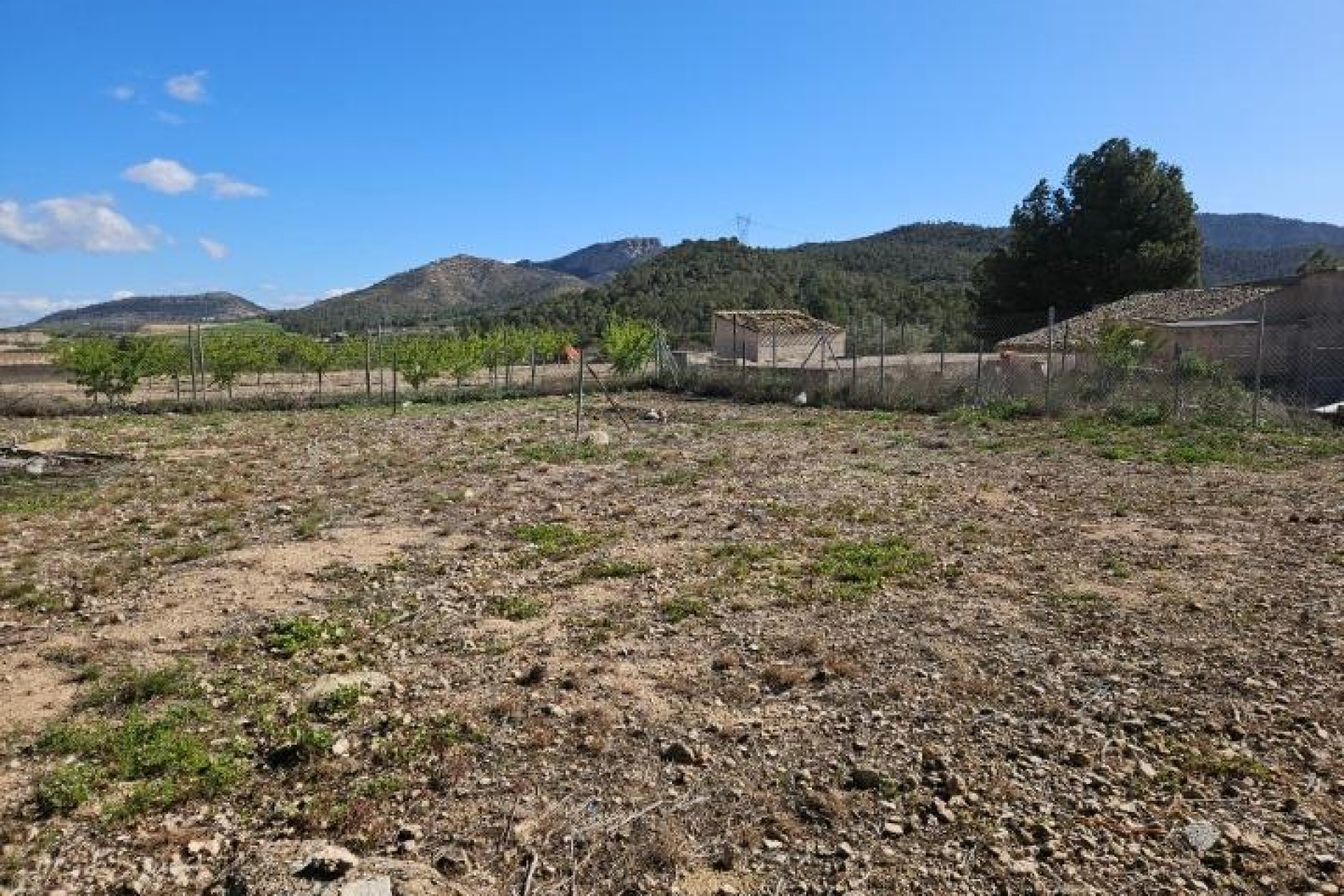 Segunda mano - Villa -
Monóvar/Monóver - Comunidad Valenciana