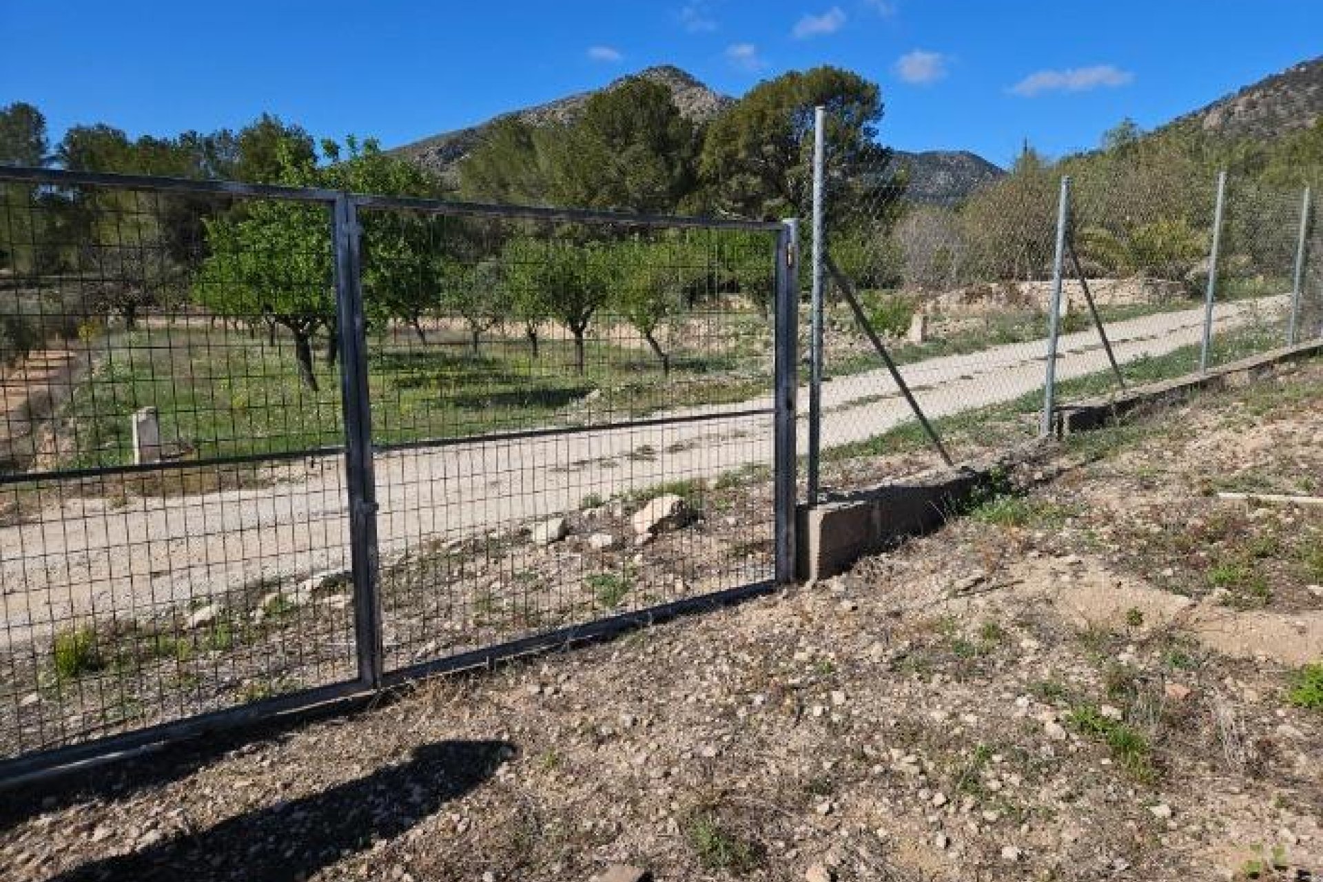 Segunda mano - Villa -
Monóvar/Monóver - Comunidad Valenciana