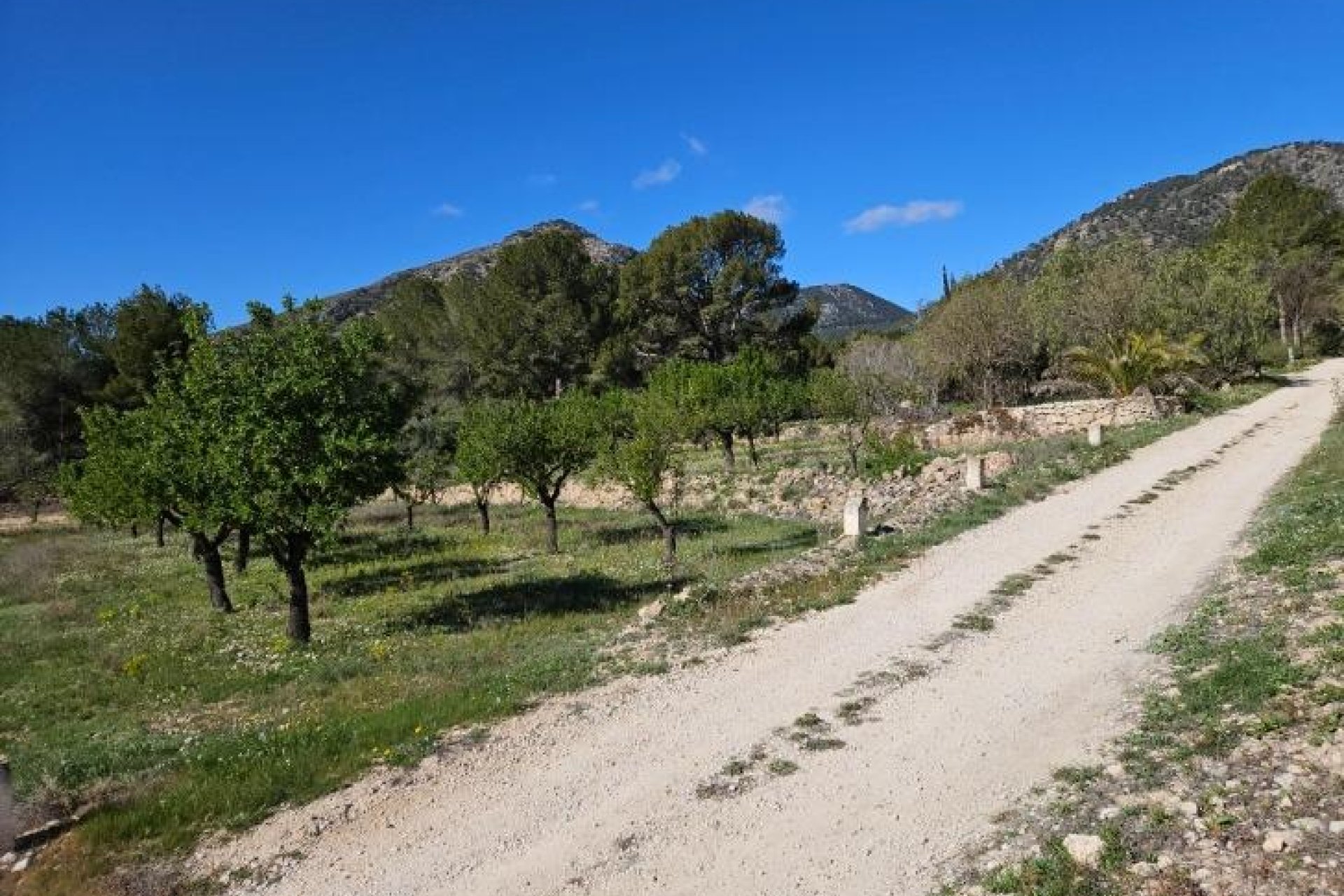 Segunda mano - Villa -
Monóvar/Monóver - Comunidad Valenciana