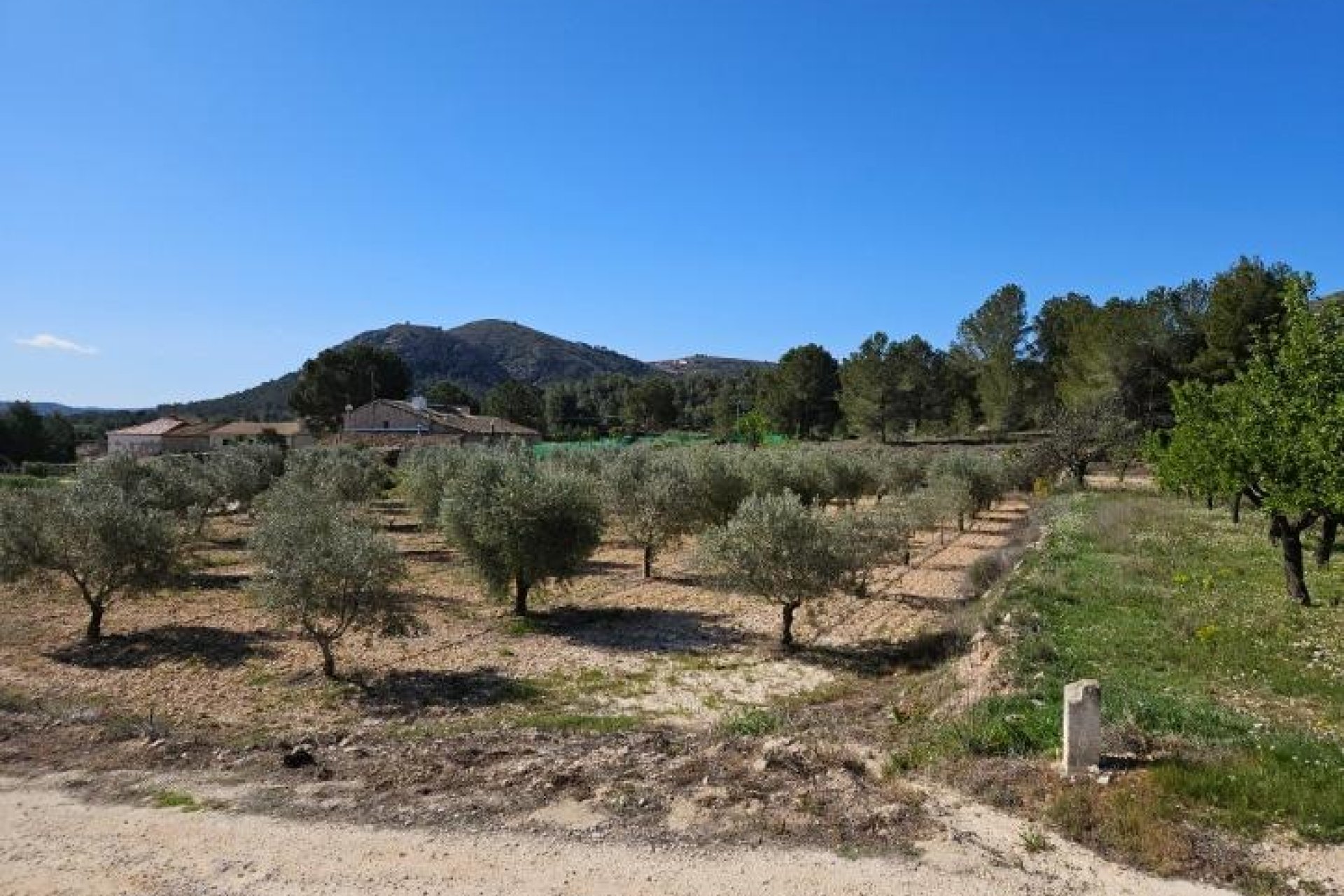 Segunda mano - Villa -
Monóvar/Monóver - Comunidad Valenciana