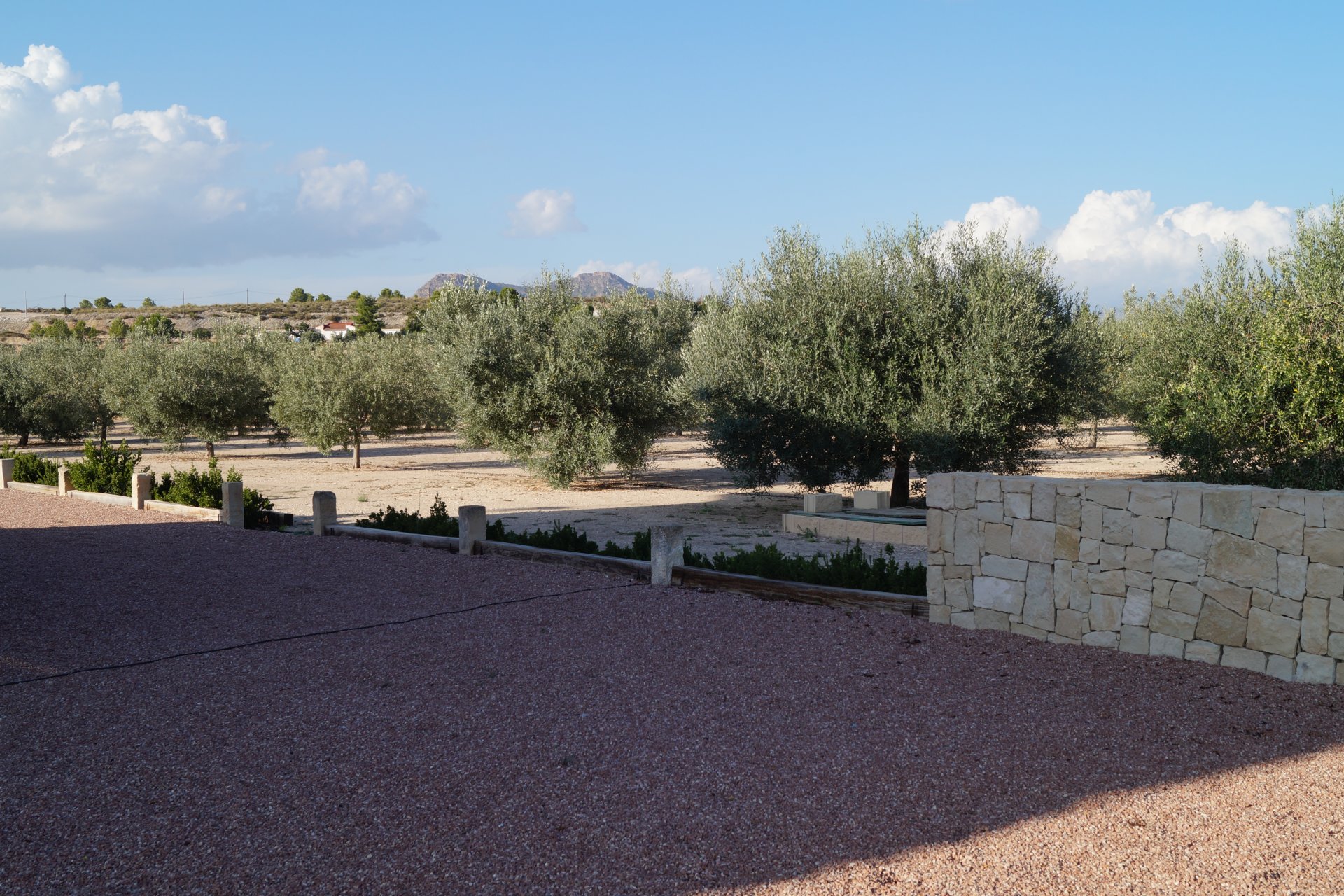 Segunda mano - Villa -
Monóvar/Monóver - Inland